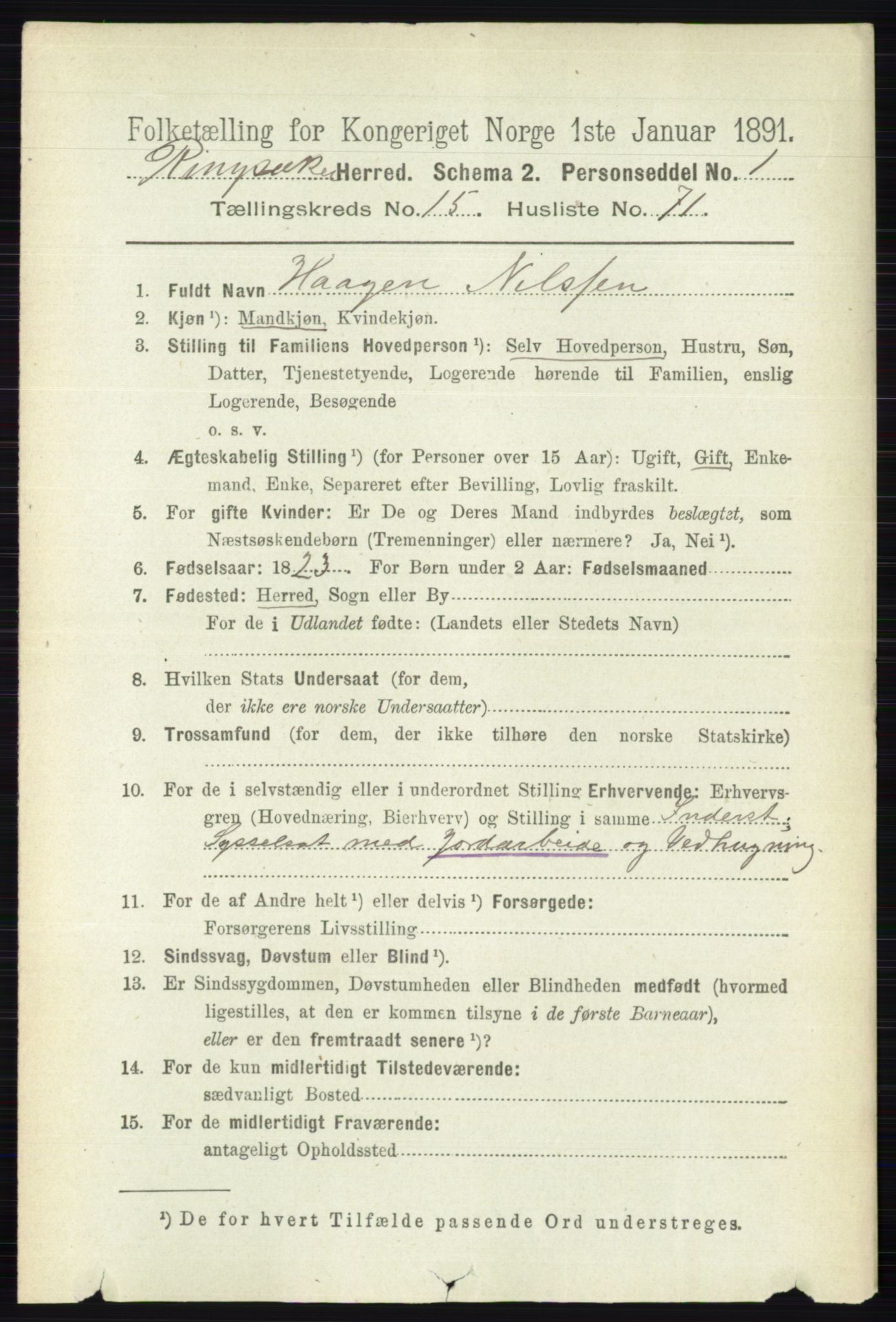 RA, 1891 census for 0412 Ringsaker, 1891, p. 8919
