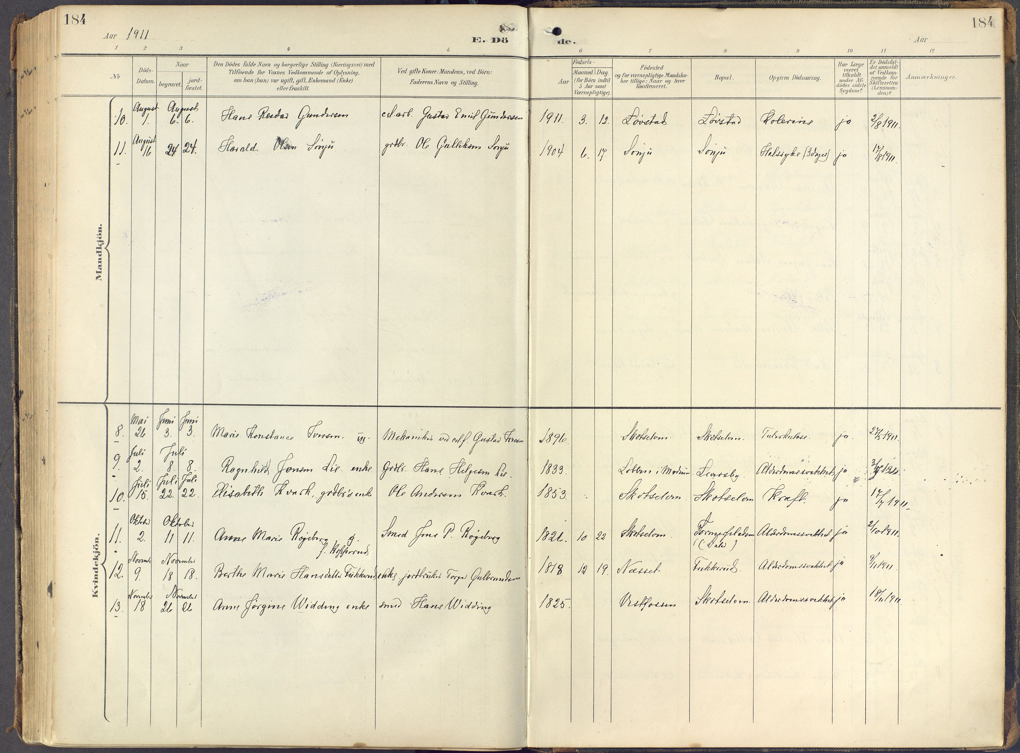 Eiker kirkebøker, AV/SAKO-A-4/F/Fc/L0004: Parish register (official) no. III 4, 1900-1919, p. 184