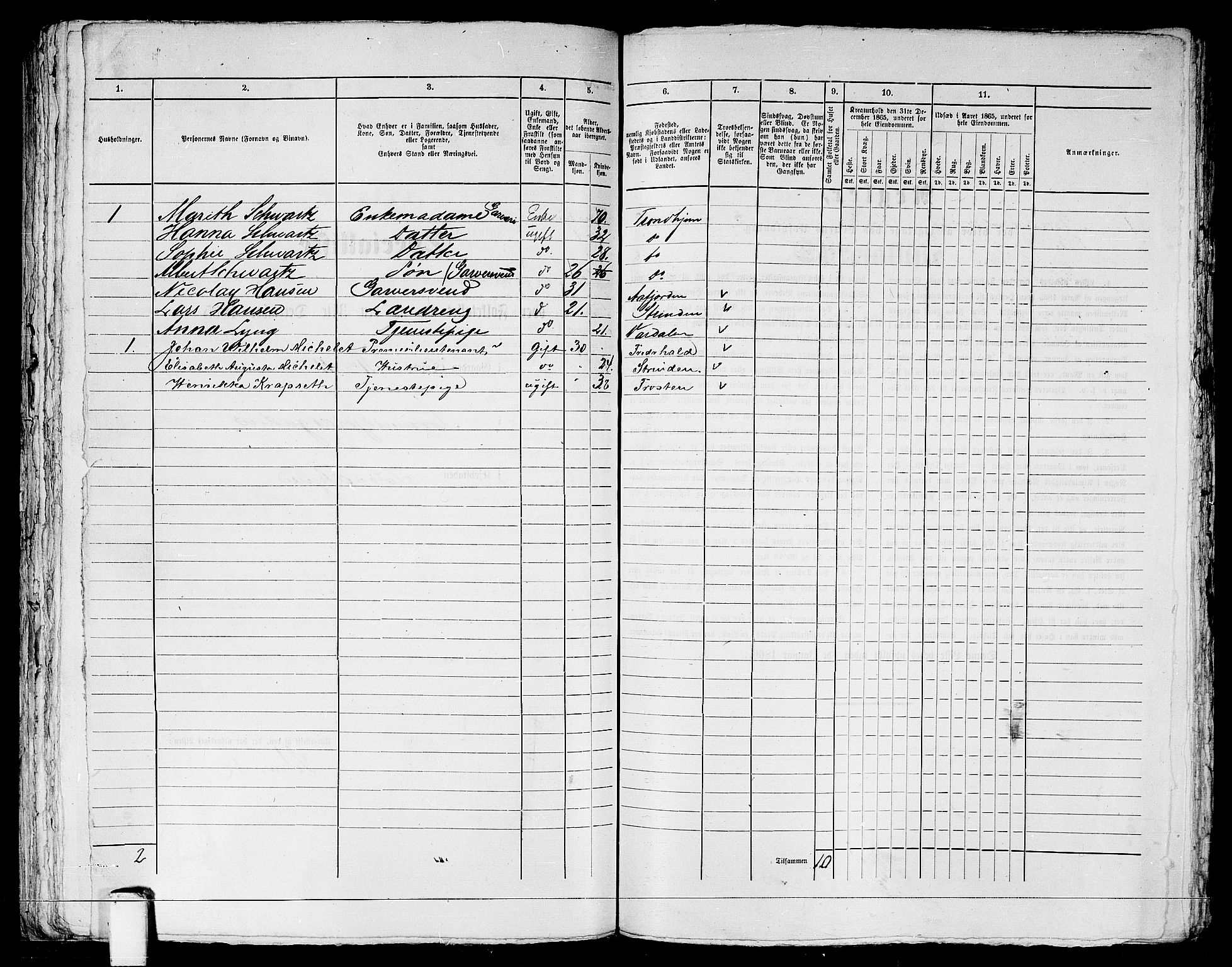 RA, 1865 census for Trondheim, 1865, p. 1342