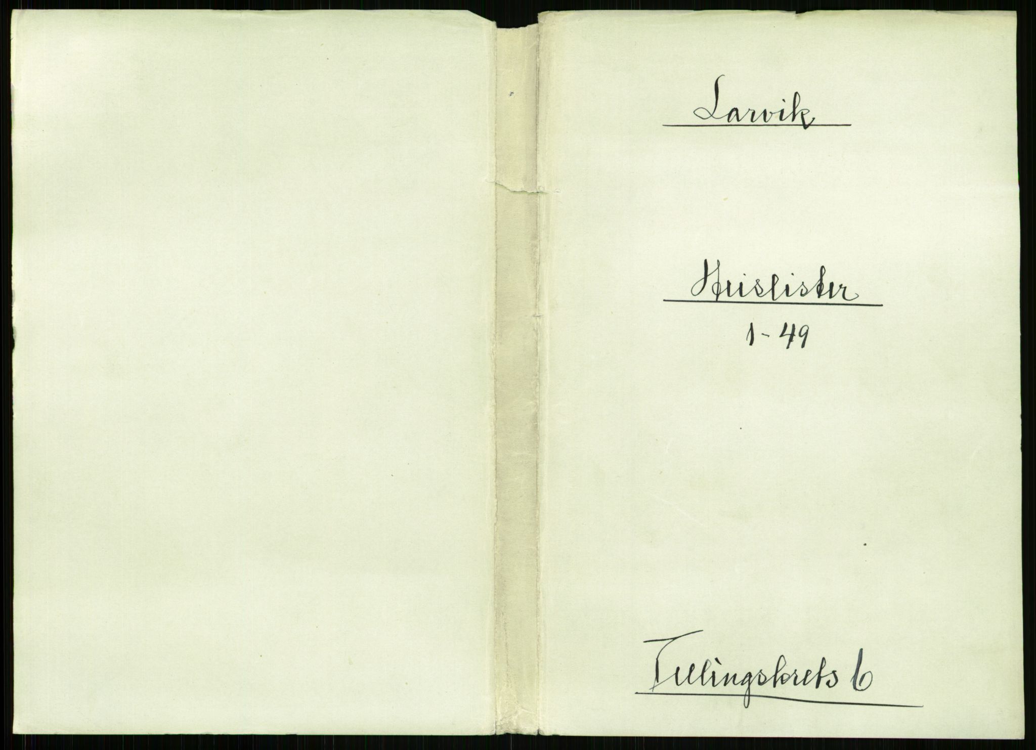 RA, 1891 census for 0707 Larvik, 1891, p. 805