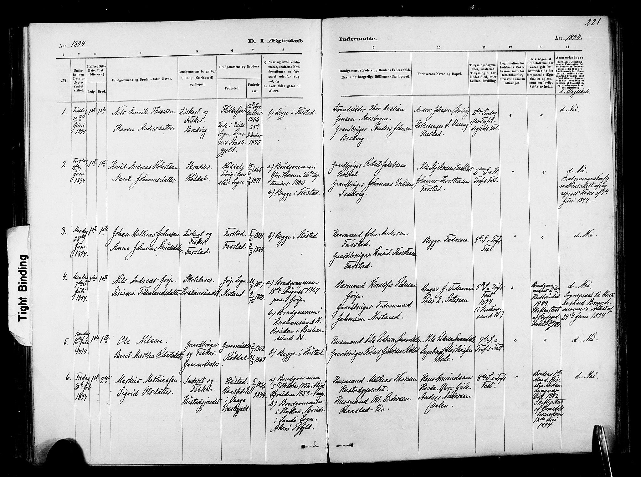 Ministerialprotokoller, klokkerbøker og fødselsregistre - Møre og Romsdal, AV/SAT-A-1454/567/L0778: Parish register (official) no. 567A01, 1881-1903, p. 221