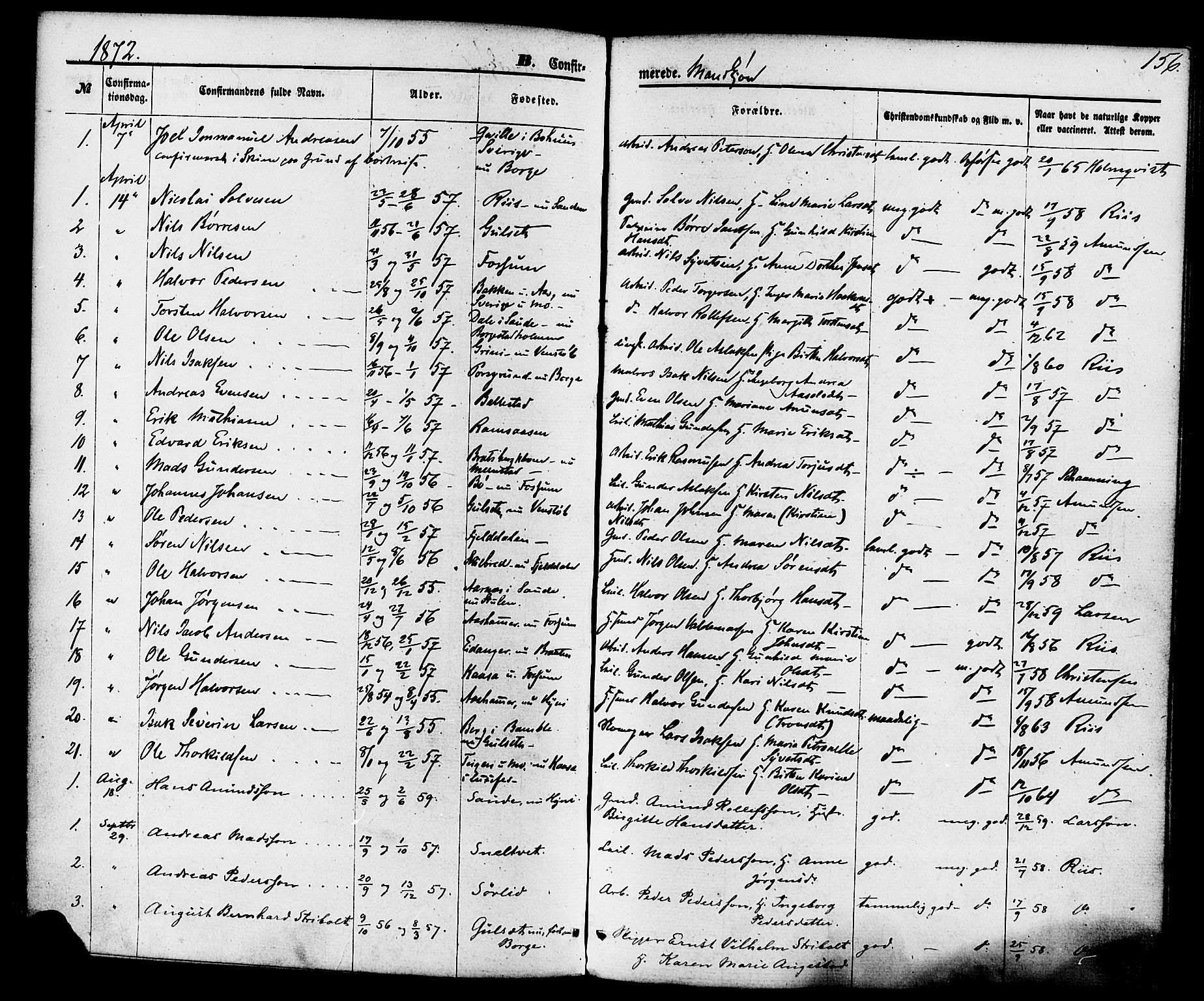 Gjerpen kirkebøker, SAKO/A-265/F/Fa/L0009: Parish register (official) no. I 9, 1872-1885, p. 156