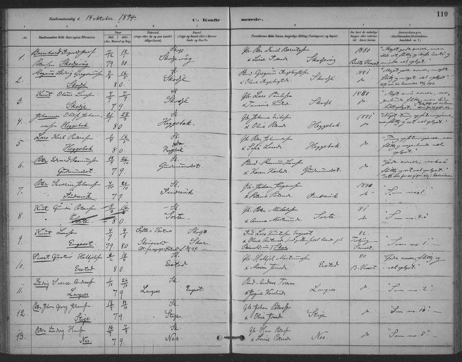 Ministerialprotokoller, klokkerbøker og fødselsregistre - Møre og Romsdal, AV/SAT-A-1454/524/L0356: Parish register (official) no. 524A08, 1880-1899, p. 119