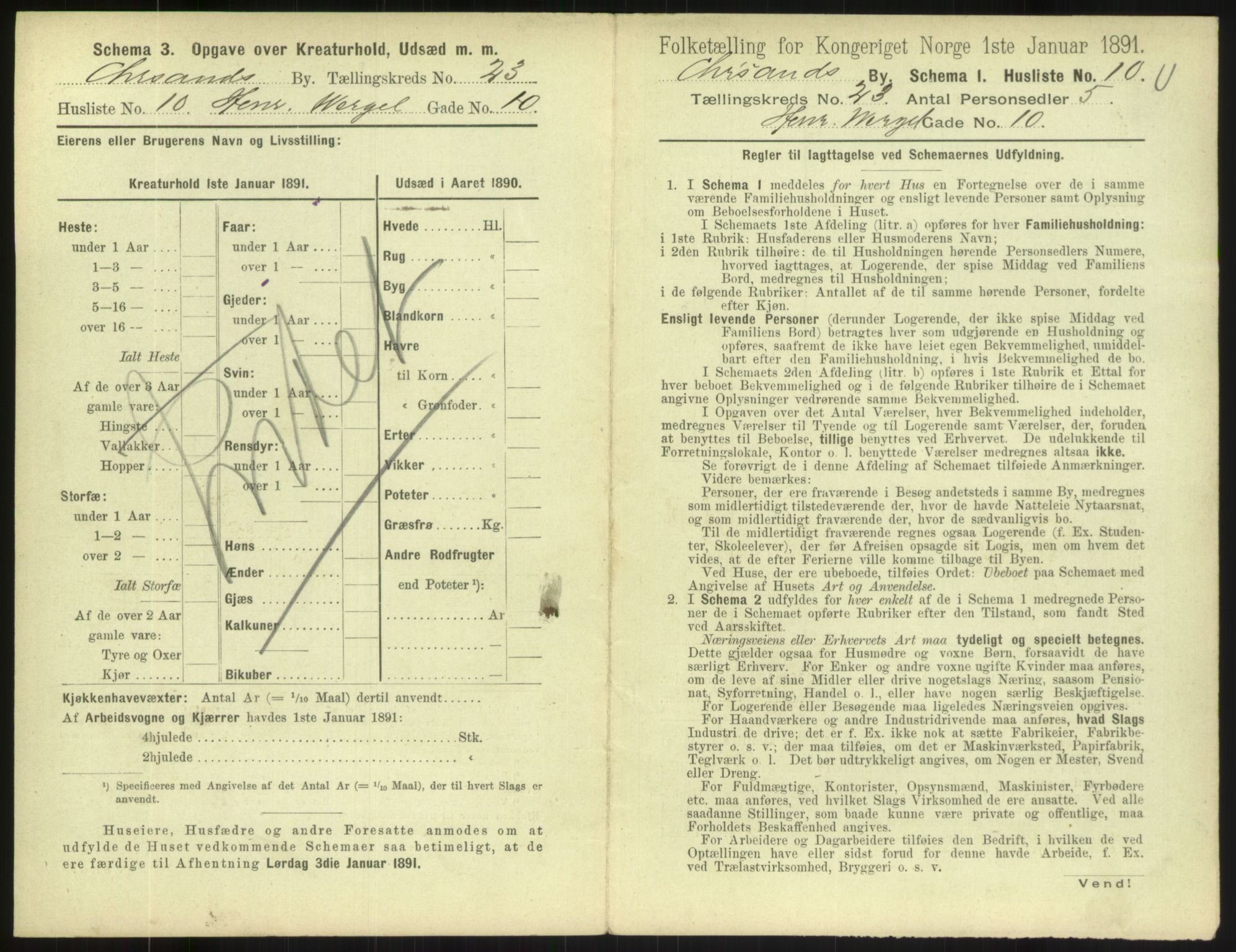 RA, 1891 census for 1001 Kristiansand, 1891, p. 1342