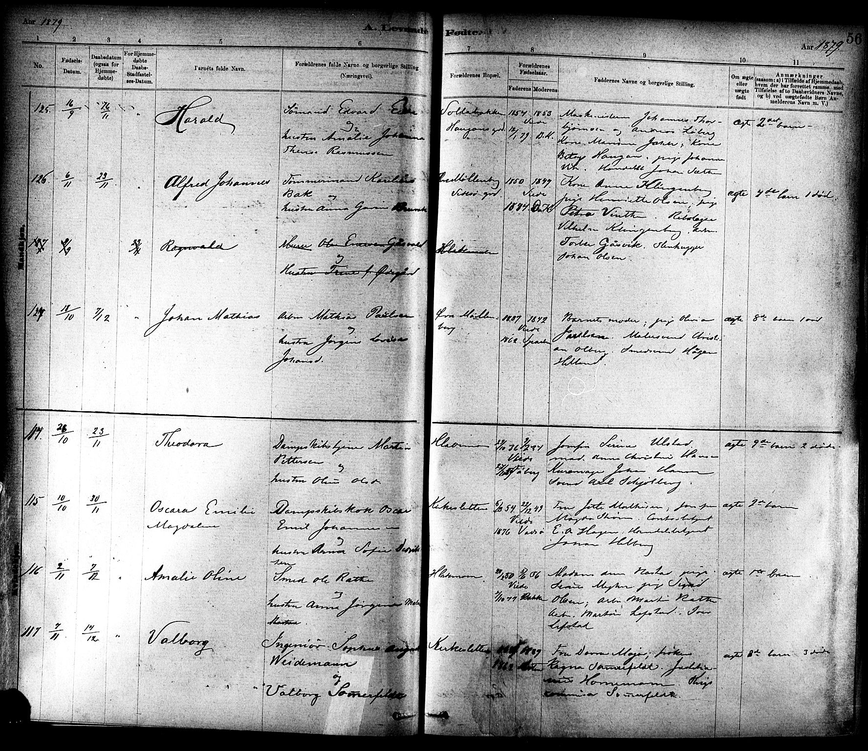 Ministerialprotokoller, klokkerbøker og fødselsregistre - Sør-Trøndelag, AV/SAT-A-1456/604/L0188: Parish register (official) no. 604A09, 1878-1892, p. 56