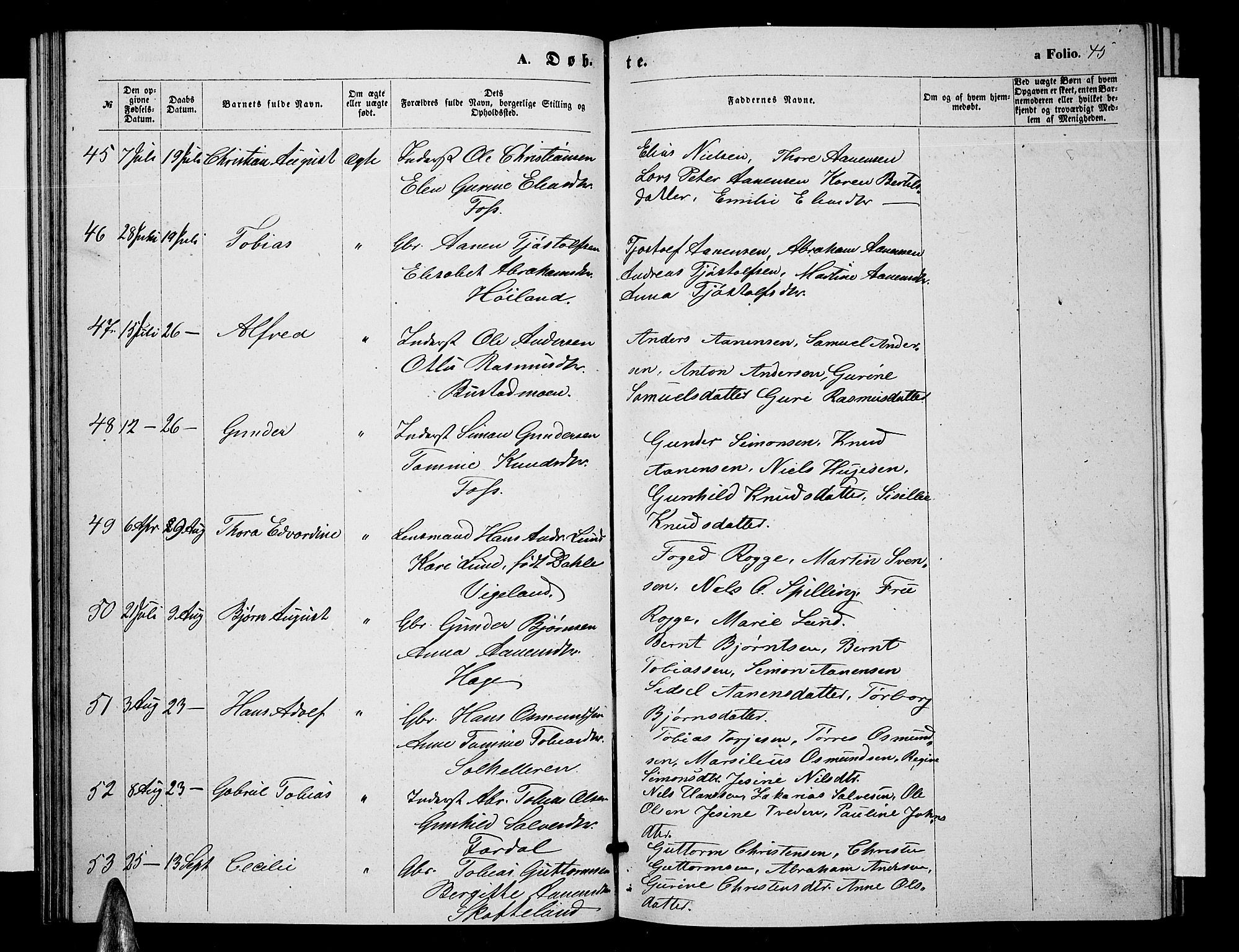 Sør-Audnedal sokneprestkontor, SAK/1111-0039/F/Fb/Fbb/L0004: Parish register (copy) no. B 4, 1868-1879, p. 45