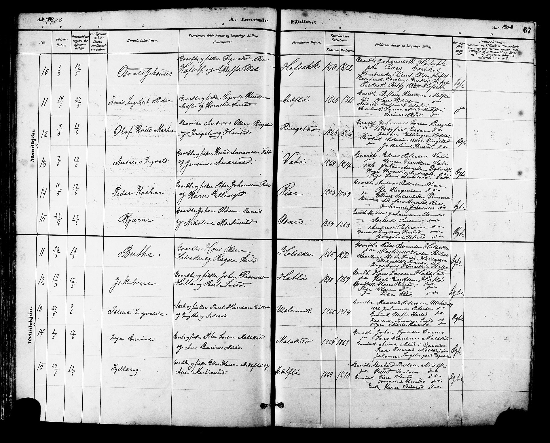 Ministerialprotokoller, klokkerbøker og fødselsregistre - Møre og Romsdal, AV/SAT-A-1454/509/L0112: Parish register (copy) no. 509C02, 1883-1922, p. 67