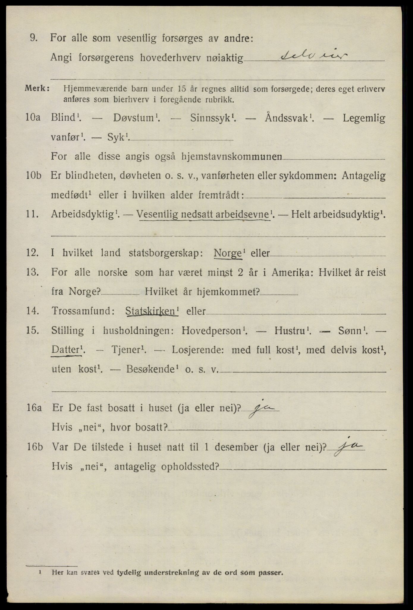 SAO, 1920 census for Nes, 1920, p. 16437