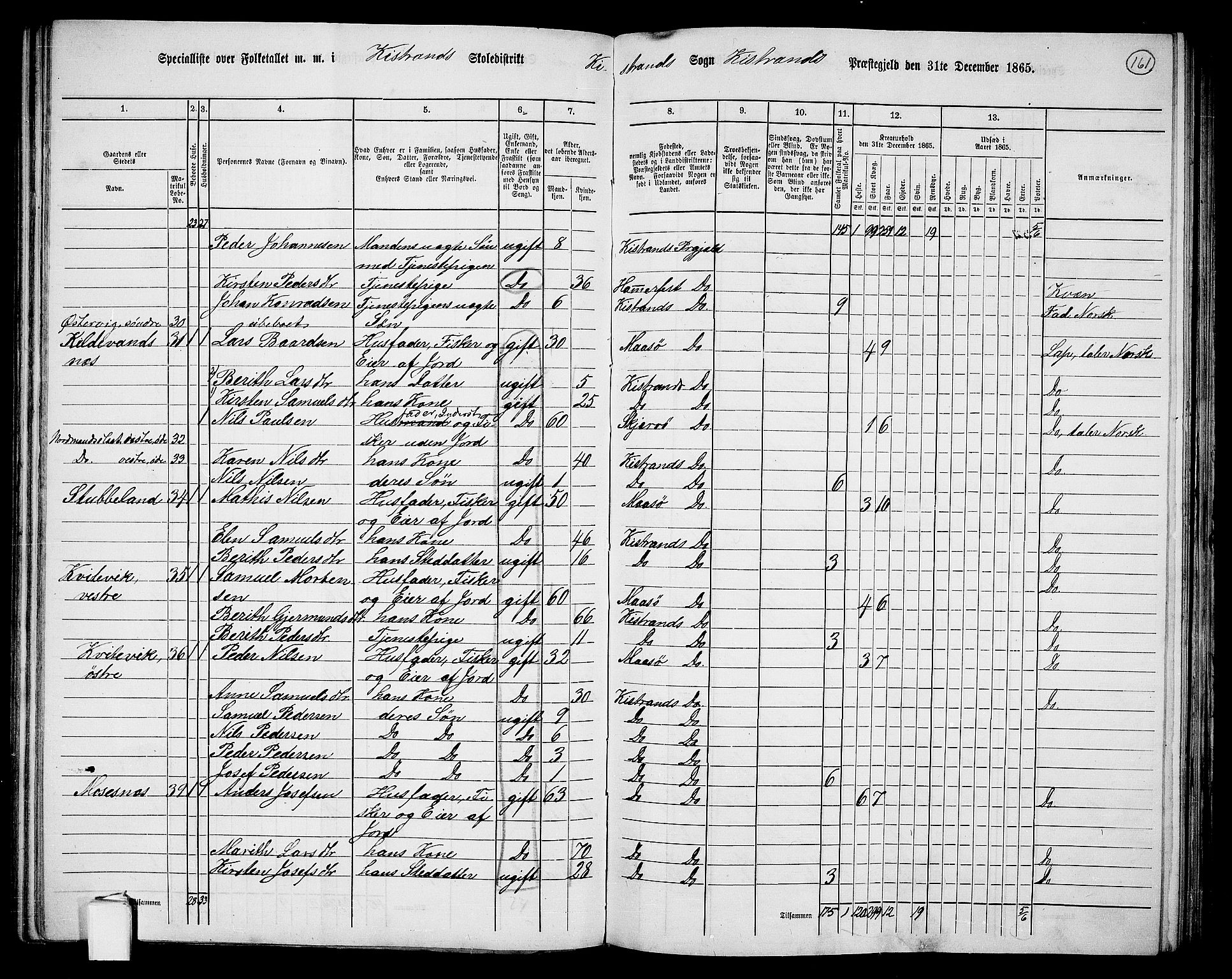 RA, 1865 census for Kistrand, 1865, p. 13