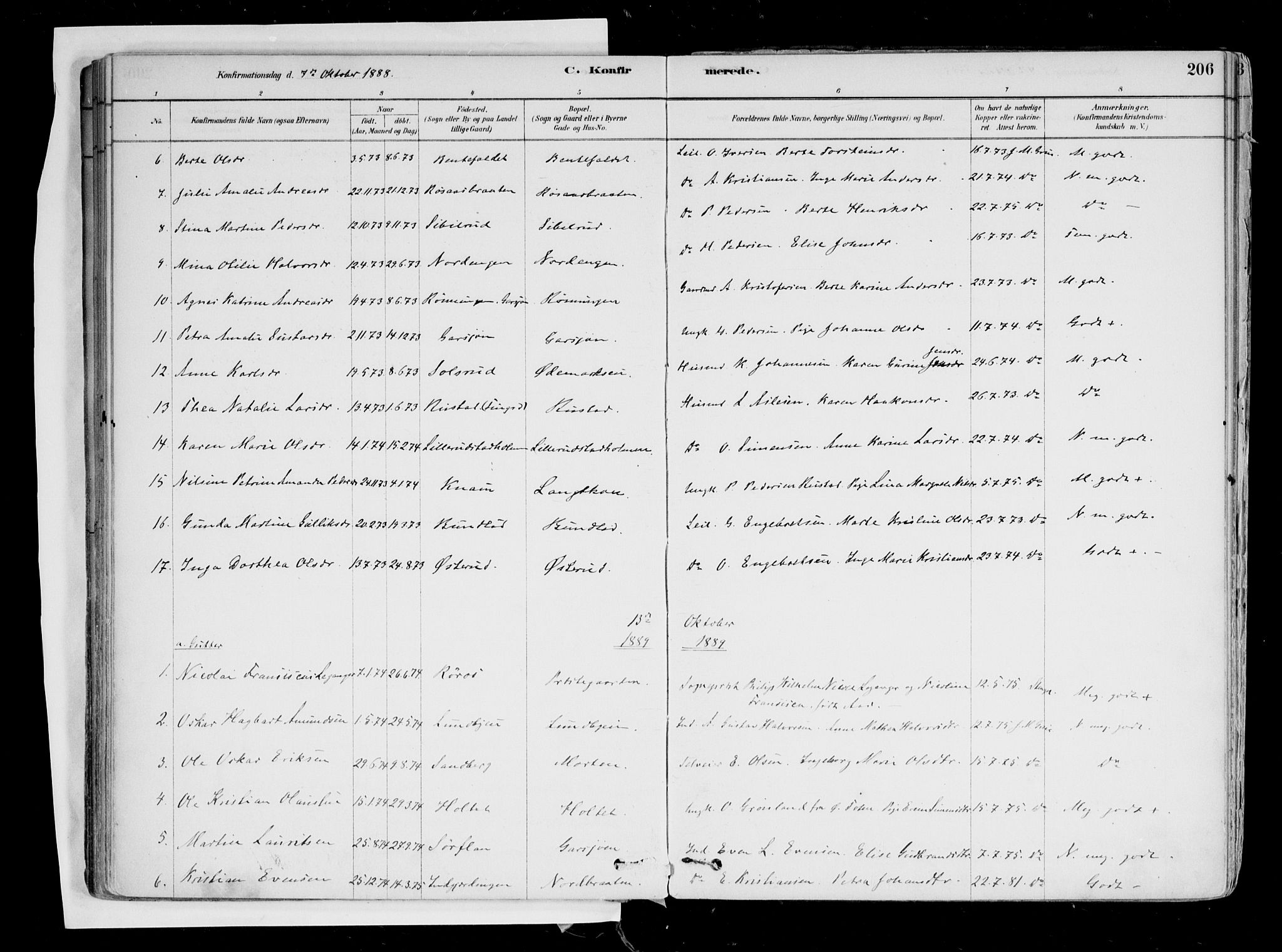 Hurdal prestekontor Kirkebøker, SAO/A-10889/F/Fa/L0007: Parish register (official) no. I 7, 1878-1906, p. 206