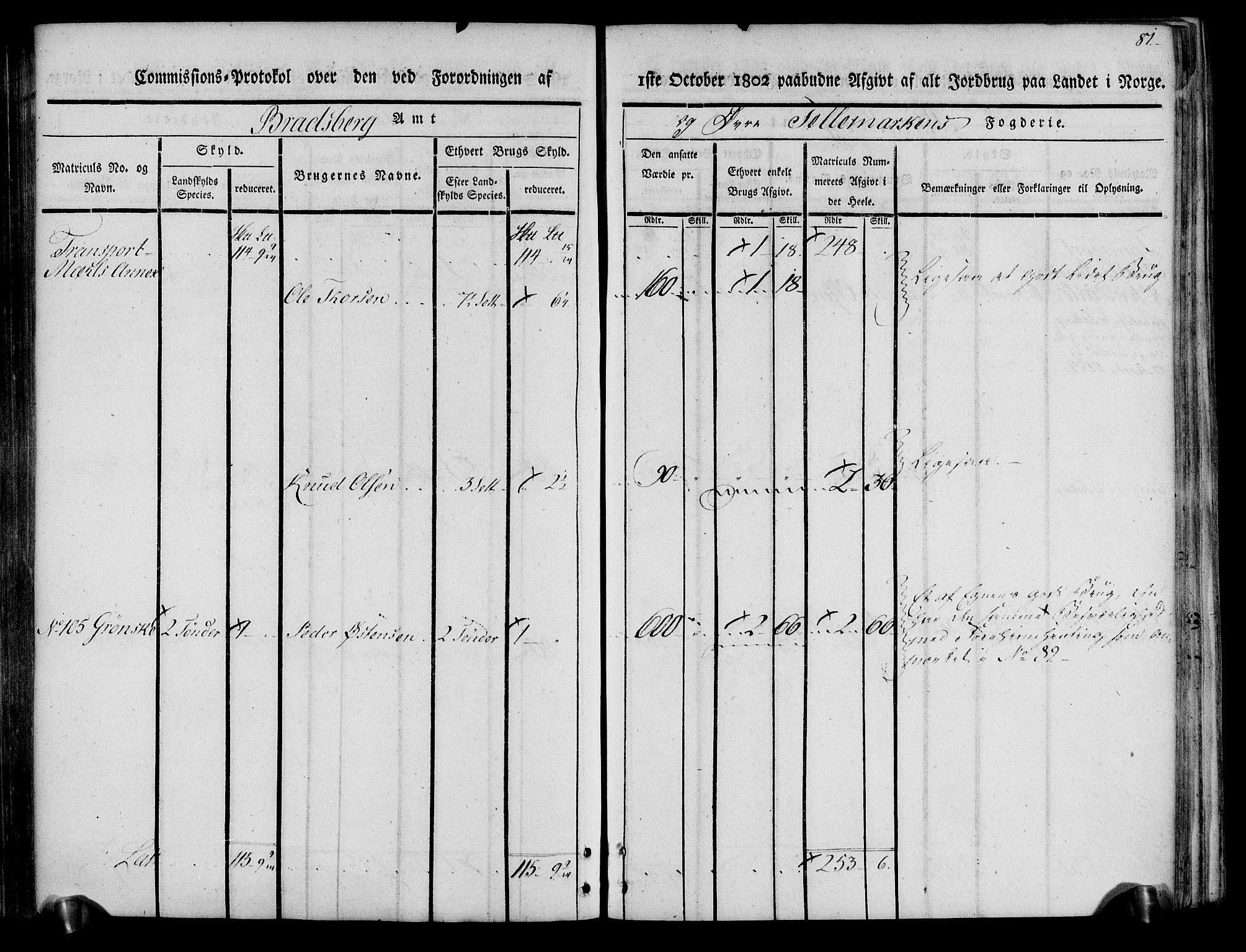 Rentekammeret inntil 1814, Realistisk ordnet avdeling, AV/RA-EA-4070/N/Ne/Nea/L0074: Øvre Telemarken fogderi. Kommisjonsprotokoll for fogderiets østre del - Tinn, Hjartdal og Seljord prestegjeld., 1803, p. 81