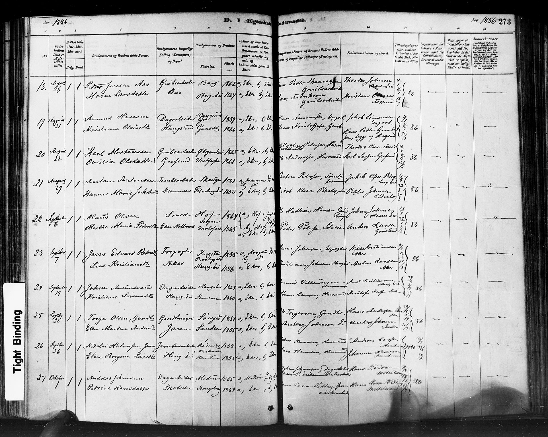 Eiker kirkebøker, SAKO/A-4/F/Fb/L0001: Parish register (official) no. II 1, 1878-1888, p. 273