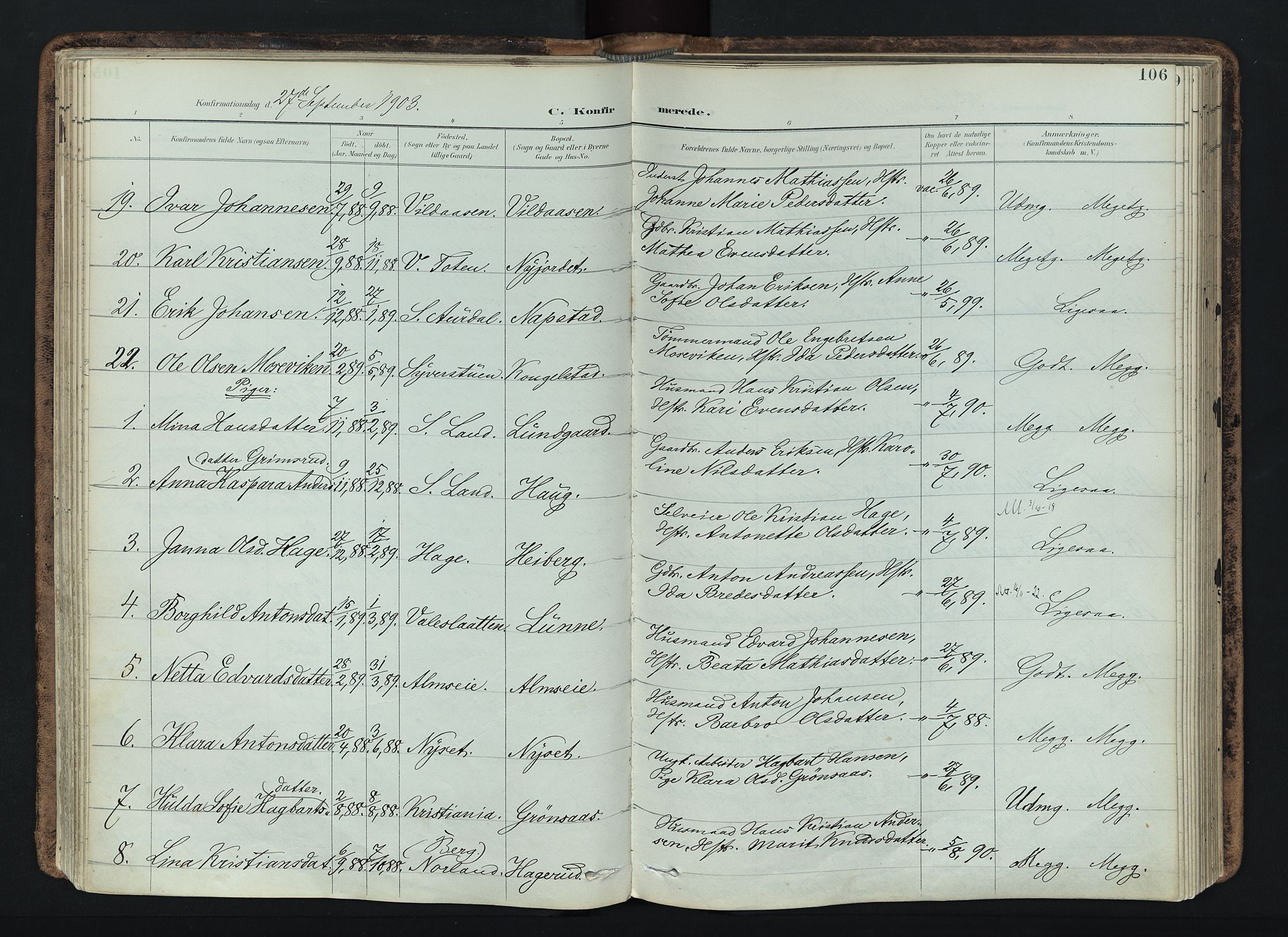 Vardal prestekontor, SAH/PREST-100/H/Ha/Haa/L0019: Parish register (official) no. 19, 1893-1907, p. 106