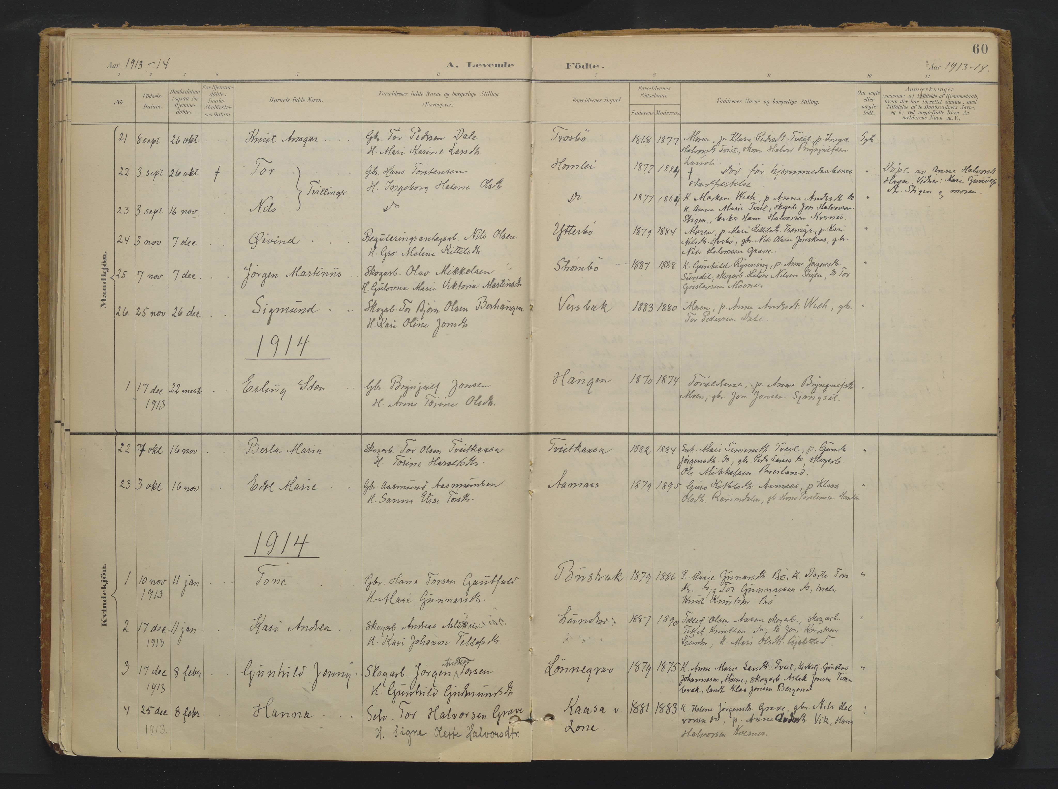 Drangedal kirkebøker, SAKO/A-258/F/Fa/L0013: Parish register (official) no. 13, 1895-1919, p. 60