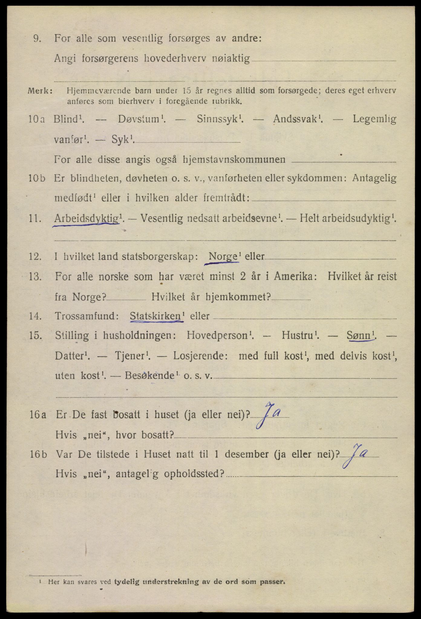 SAKO, 1920 census for Brevik, 1920, p. 6563