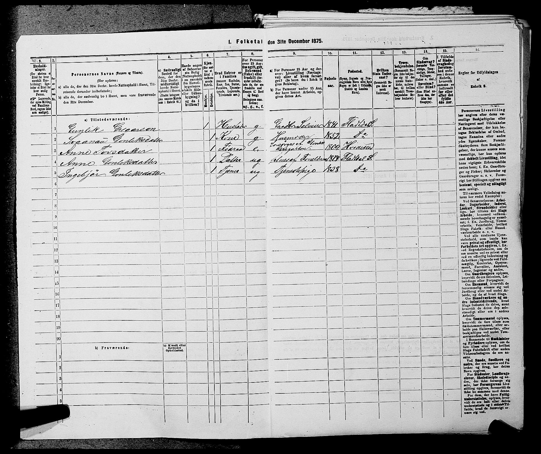 SAKO, 1875 census for 0828P Seljord, 1875, p. 817