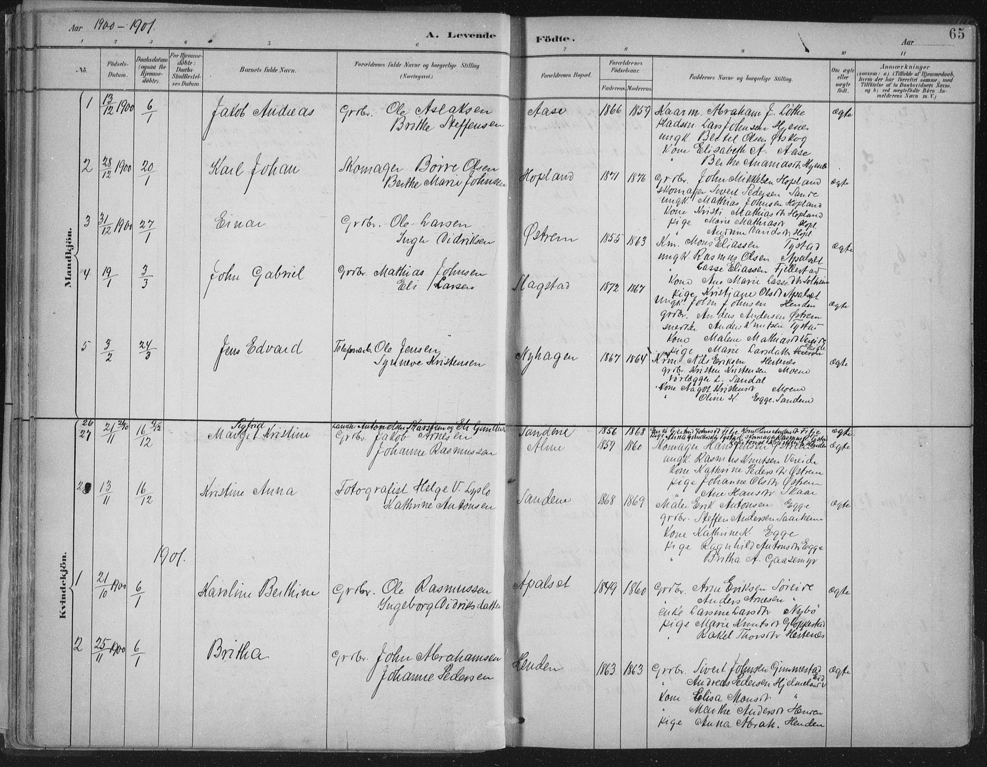 Gloppen sokneprestembete, AV/SAB-A-80101/H/Haa/Haab/L0001: Parish register (official) no. B  1, 1885-1905, p. 65