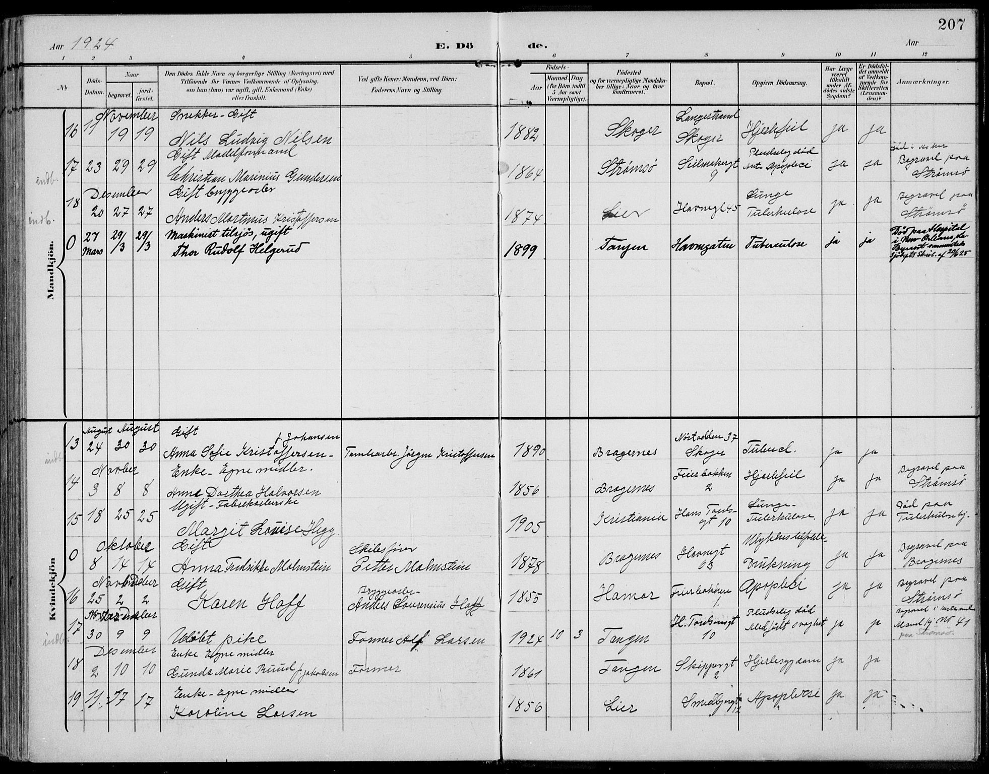 Strømsø kirkebøker, AV/SAKO-A-246/F/Fb/L0008: Parish register (official) no. II 8, 1902-1933, p. 207