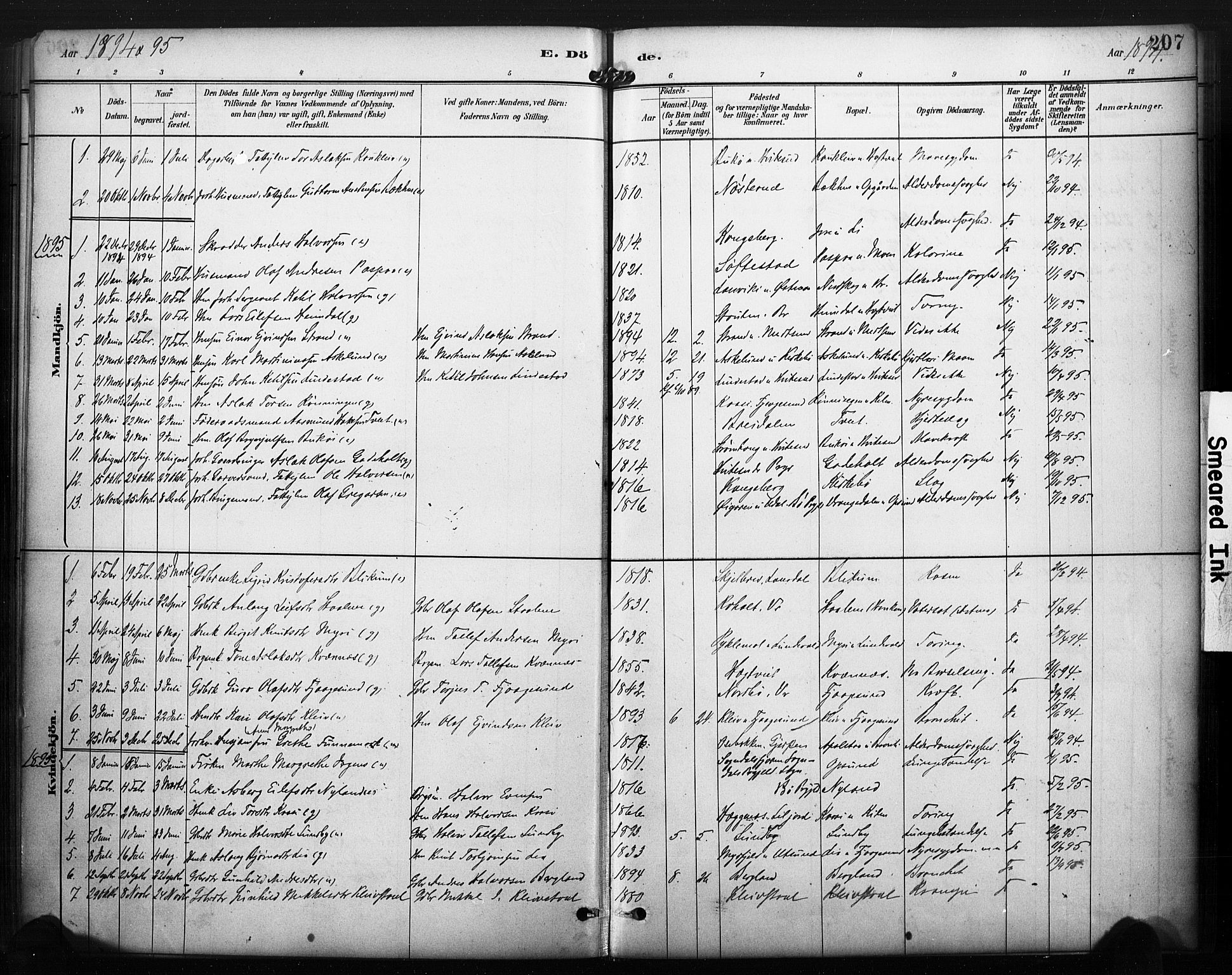 Kviteseid kirkebøker, SAKO/A-276/F/Fa/L0008: Parish register (official) no. I 8, 1882-1903, p. 207