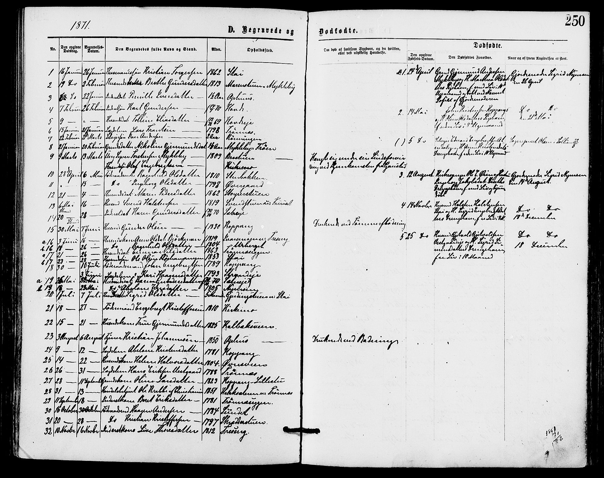 Stor-Elvdal prestekontor, SAH/PREST-052/H/Ha/Haa/L0001: Parish register (official) no. 1, 1871-1882, p. 250