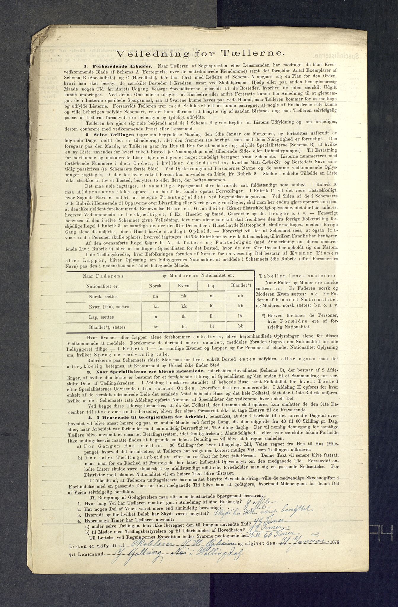 SAKO, 1875 census for 0616P Nes, 1875, p. 45