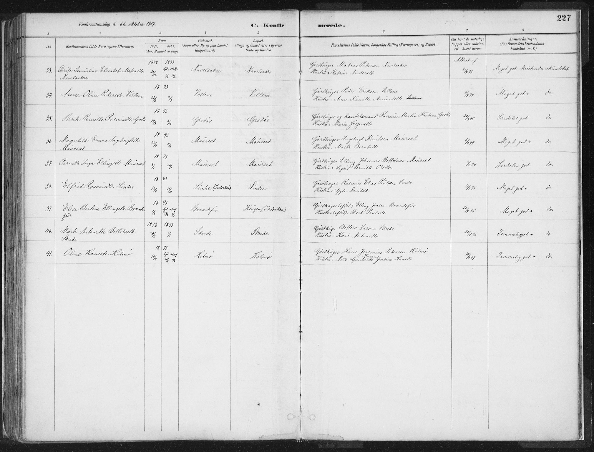 Hornindal sokneprestembete, AV/SAB-A-82401/H/Haa/Haaa/L0003/0001: Parish register (official) no. A 3A, 1887-1917, p. 227