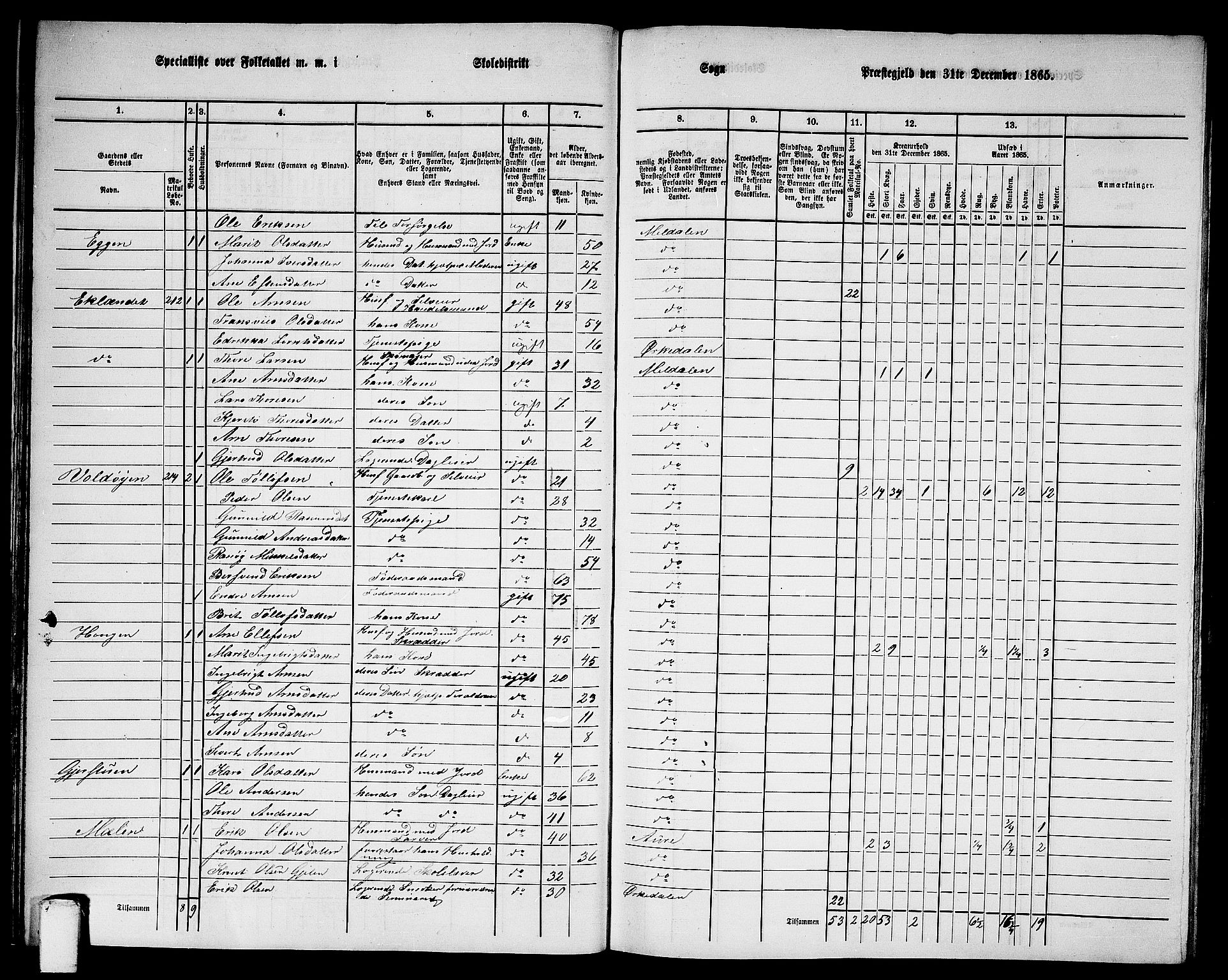 RA, 1865 census for Meldal, 1865, p. 33