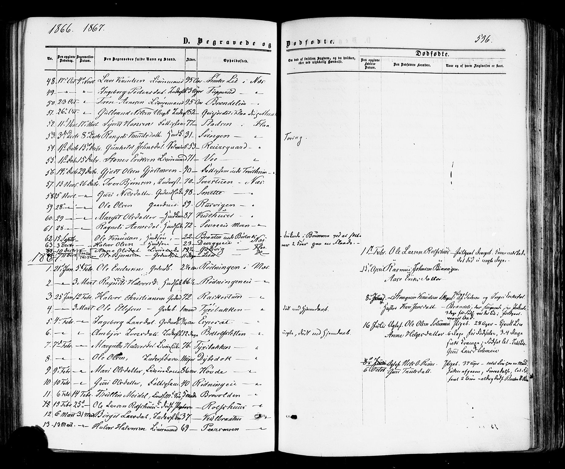 Nes kirkebøker, SAKO/A-236/F/Fa/L0010: Parish register (official) no. 10, 1864-1880, p. 536