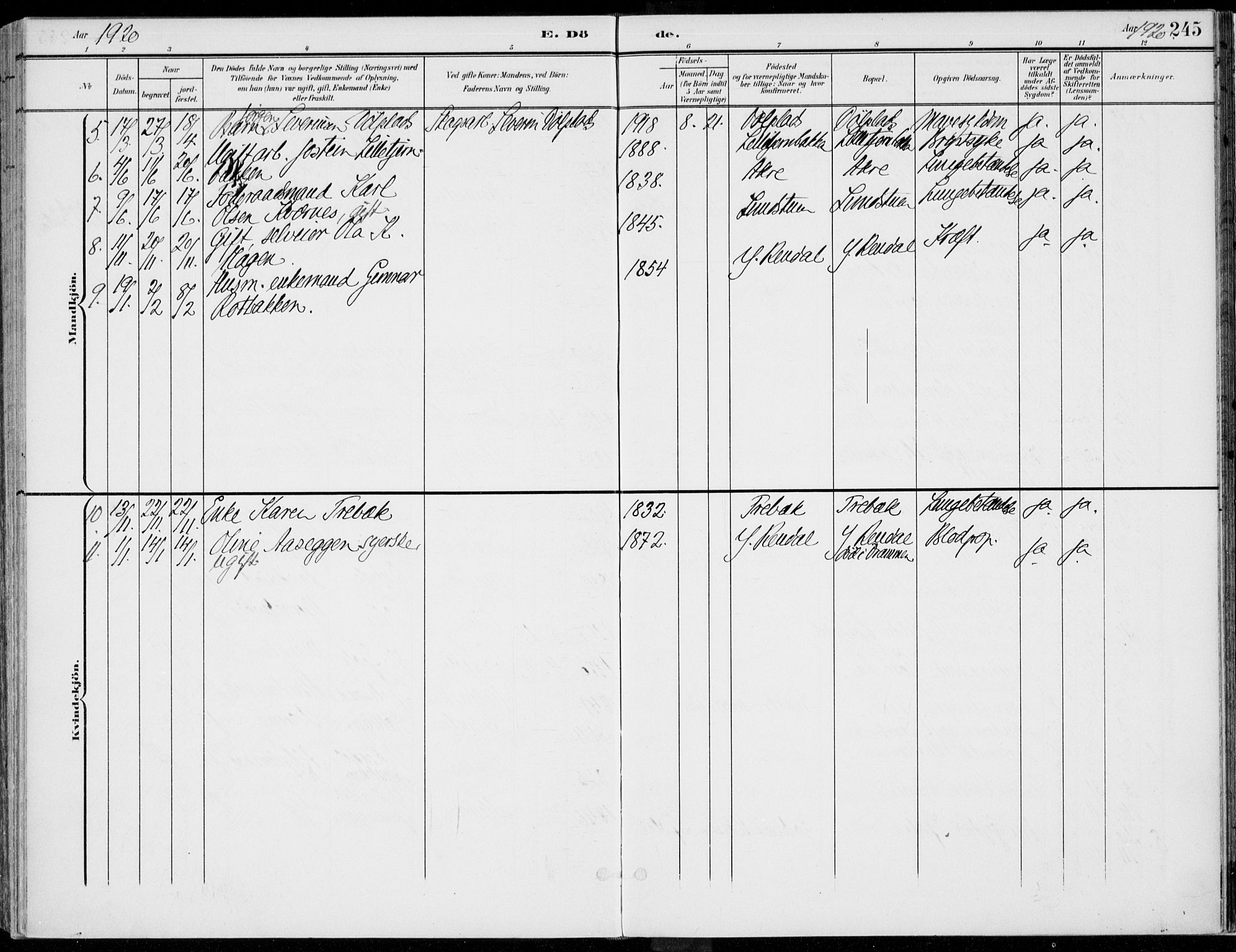 Rendalen prestekontor, AV/SAH-PREST-054/H/Ha/Haa/L0011: Parish register (official) no. 11, 1901-1925, p. 245