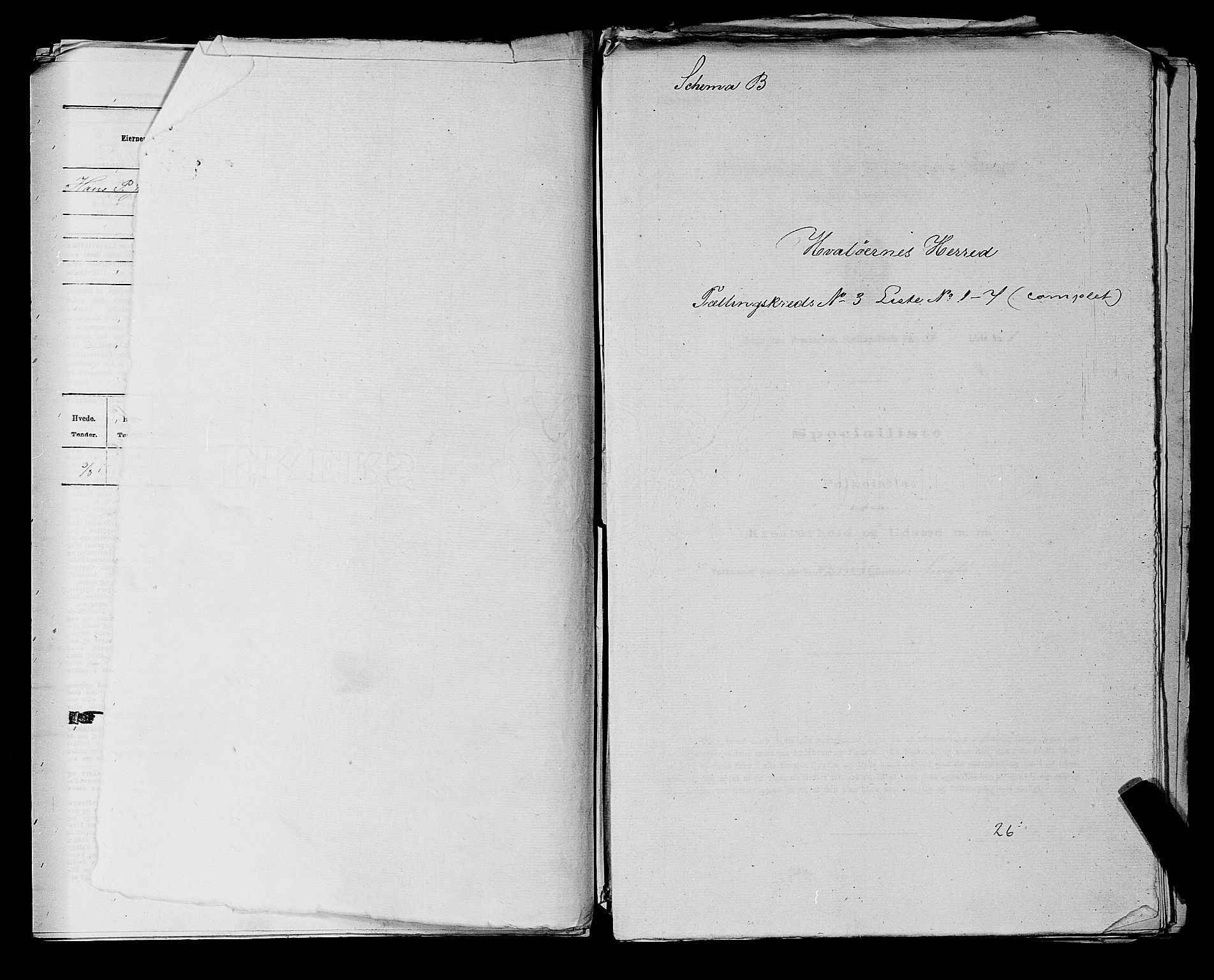 RA, 1875 census for 0111P Hvaler, 1875, p. 550