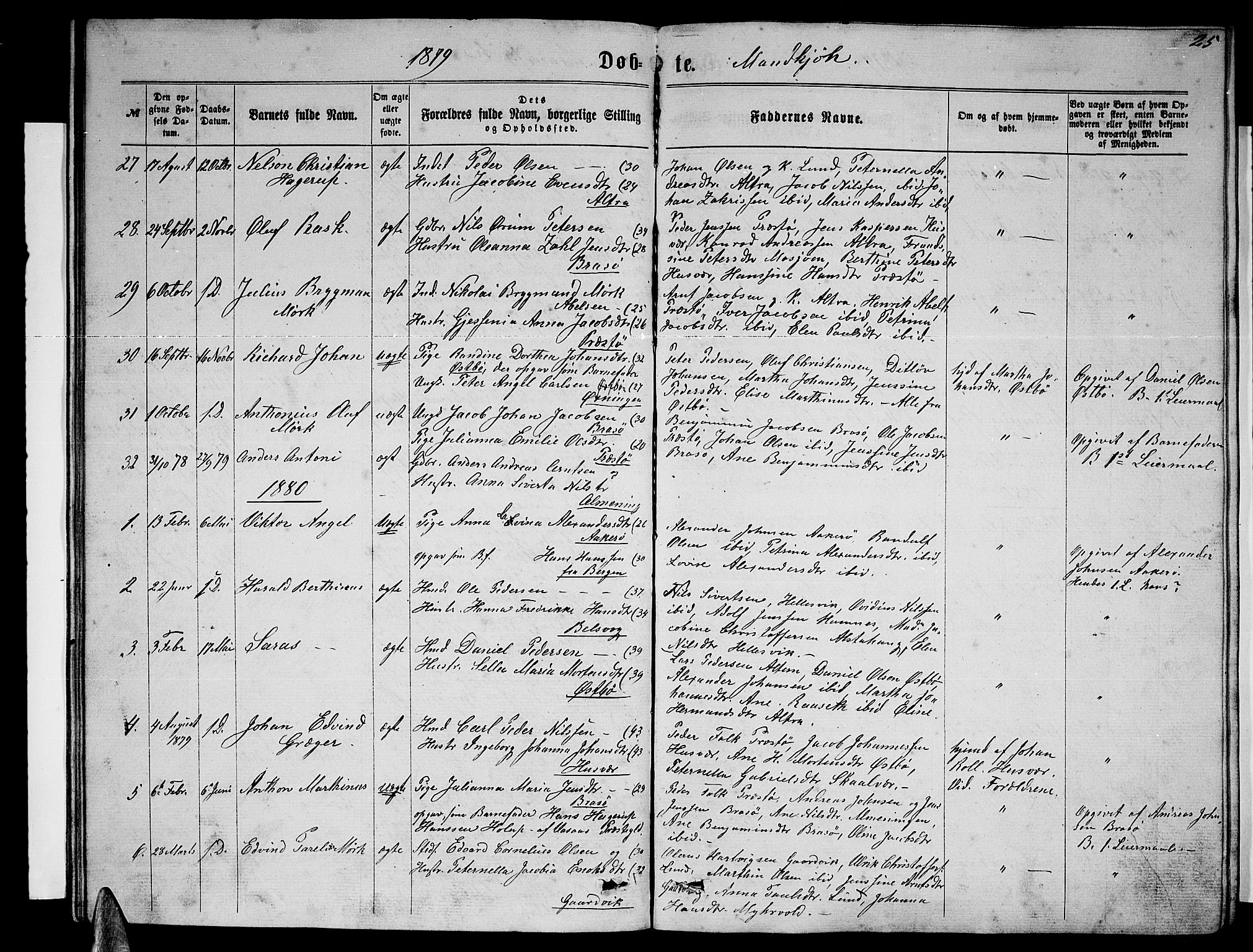 Ministerialprotokoller, klokkerbøker og fødselsregistre - Nordland, SAT/A-1459/830/L0461: Parish register (copy) no. 830C03, 1866-1881, p. 25