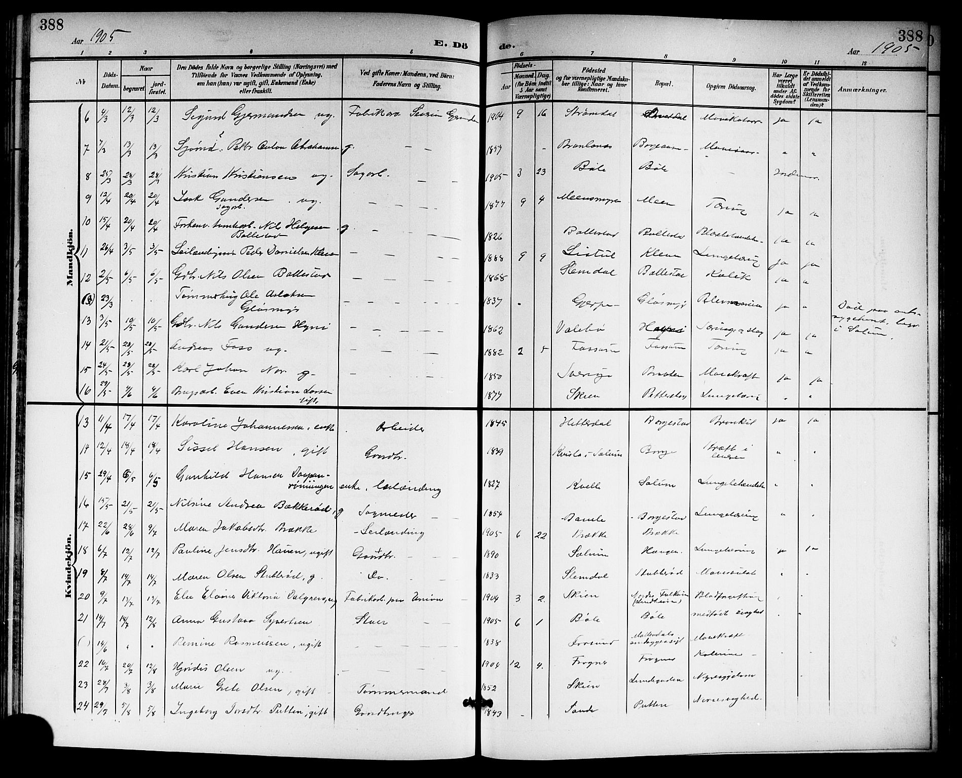 Gjerpen kirkebøker, SAKO/A-265/G/Ga/L0003: Parish register (copy) no. I 3, 1901-1919, p. 388
