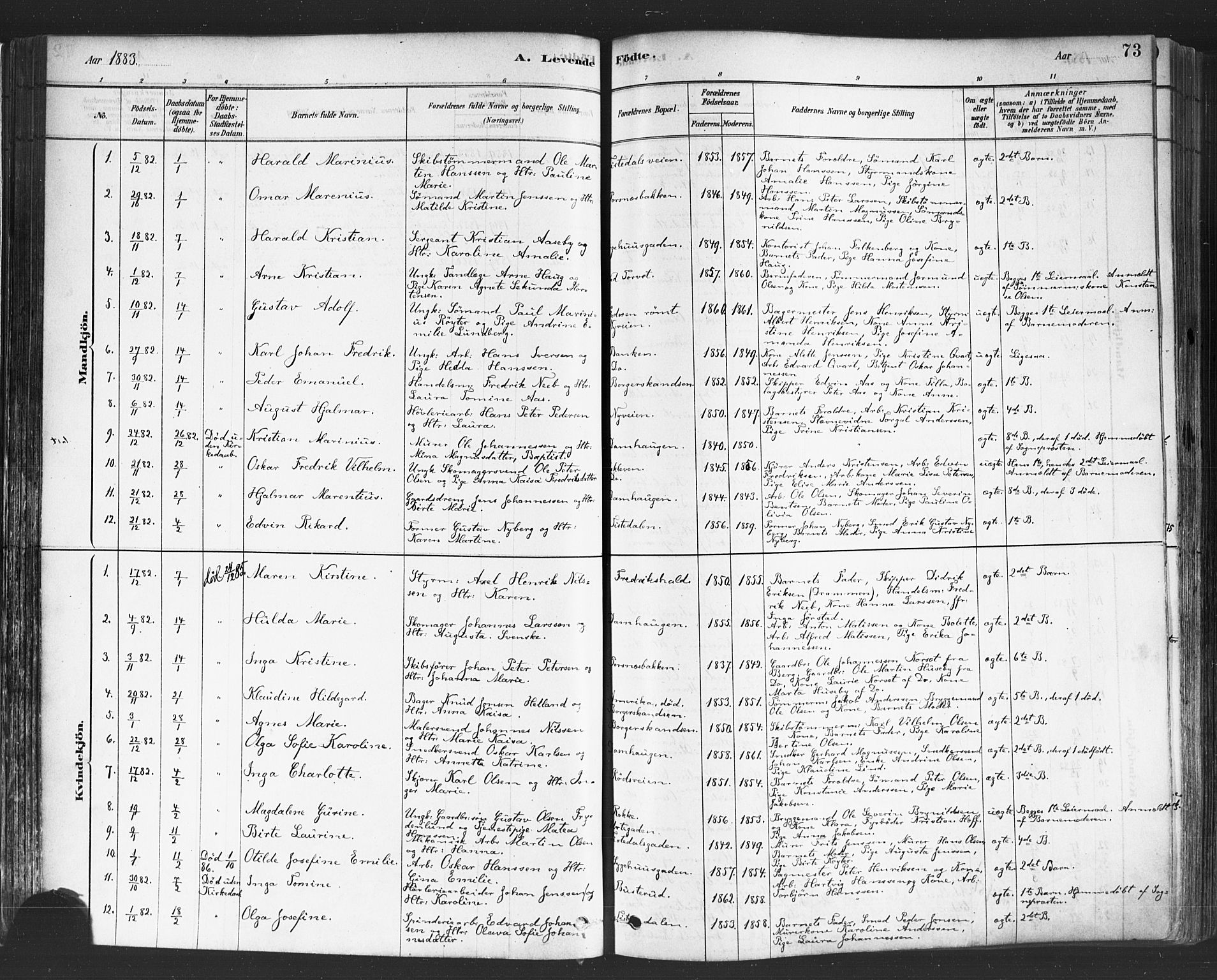 Halden prestekontor Kirkebøker, SAO/A-10909/F/Fa/L0011: Parish register (official) no. I 11, 1878-1889, p. 73