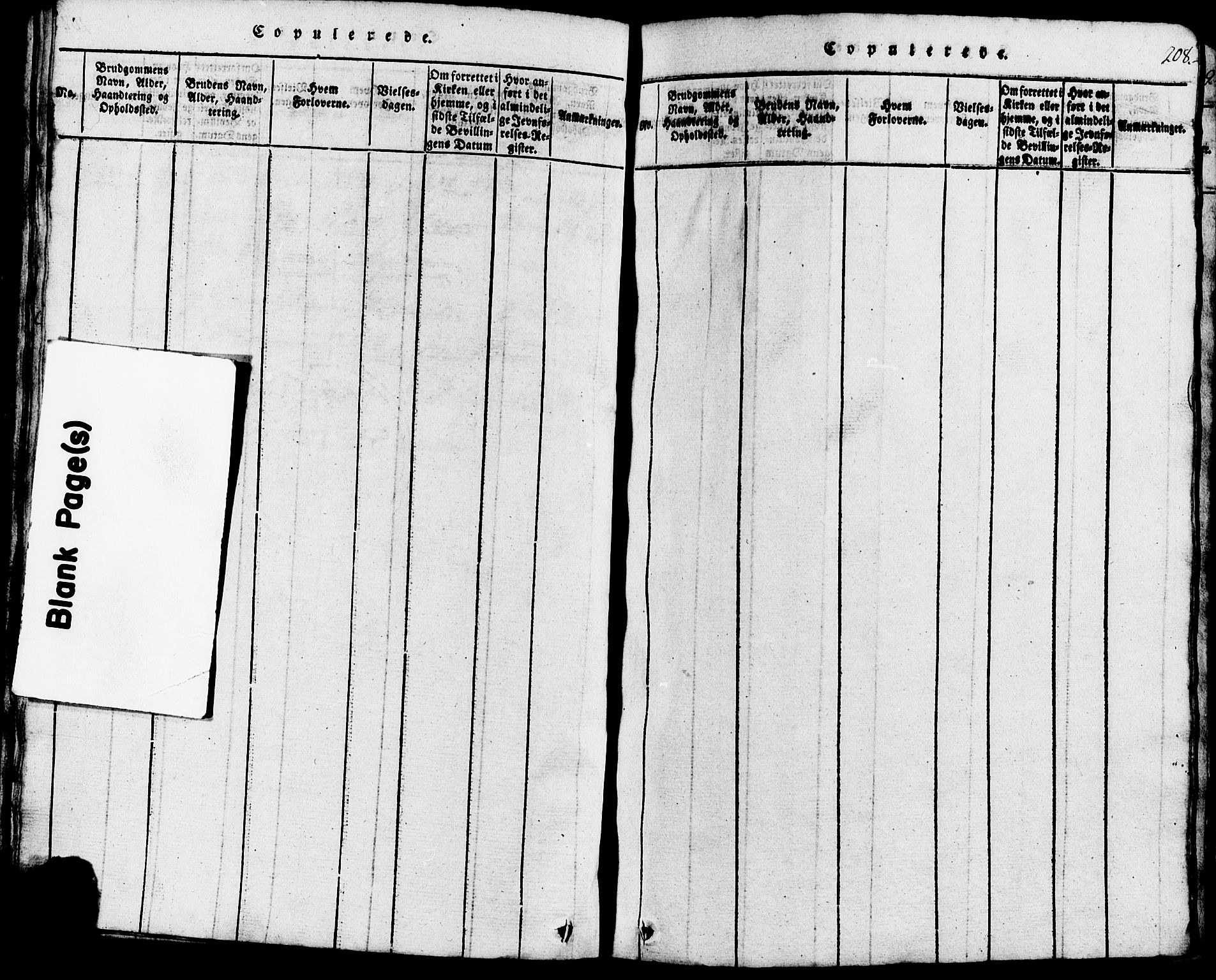 Lund sokneprestkontor, SAST/A-101809/S07/L0002: Parish register (copy) no. B 2, 1816-1832, p. 208