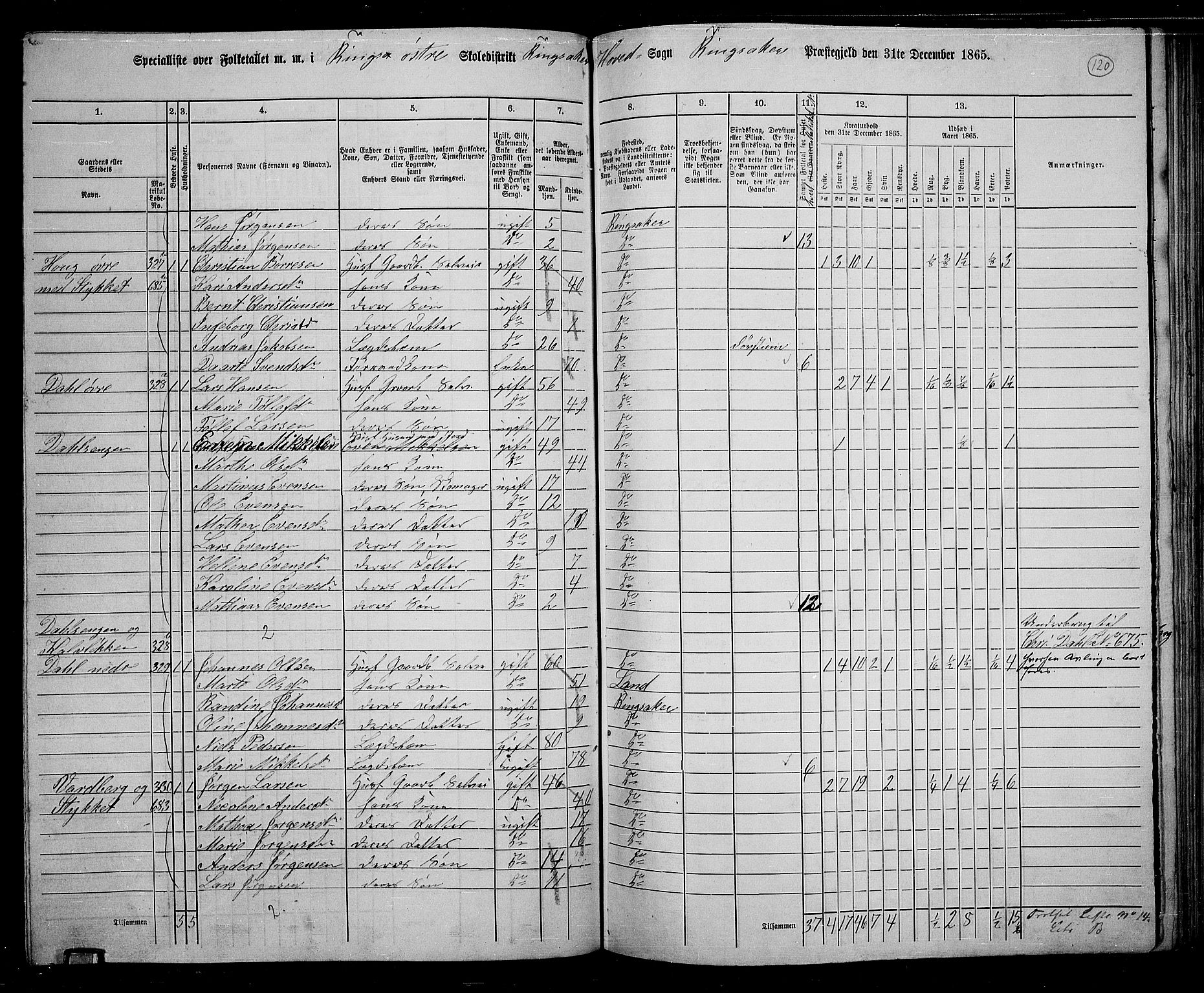 RA, 1865 census for Ringsaker, 1865, p. 368