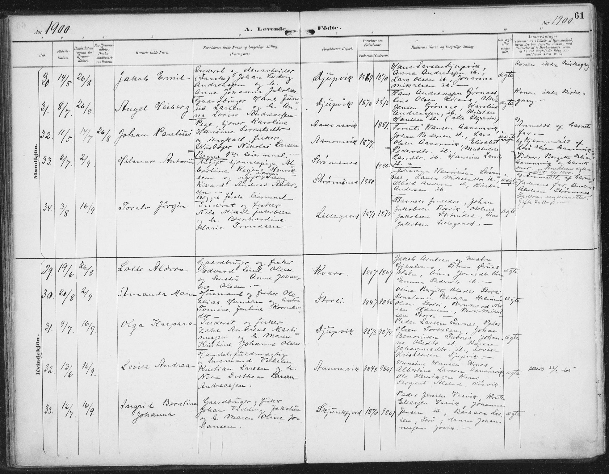 Ministerialprotokoller, klokkerbøker og fødselsregistre - Nordland, AV/SAT-A-1459/854/L0779: Parish register (official) no. 854A02, 1892-1909, p. 61