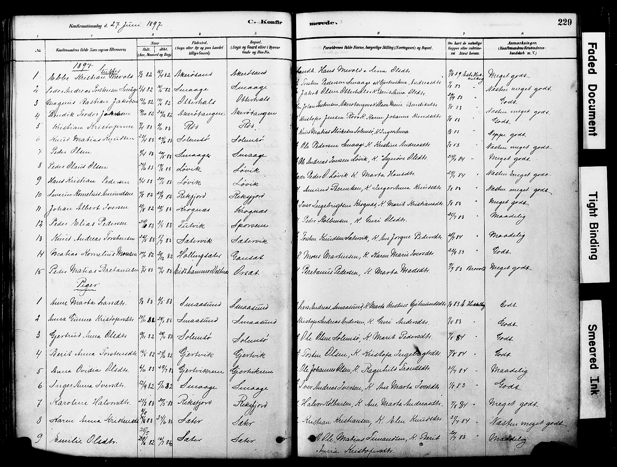 Ministerialprotokoller, klokkerbøker og fødselsregistre - Møre og Romsdal, SAT/A-1454/560/L0721: Parish register (official) no. 560A05, 1878-1917, p. 229