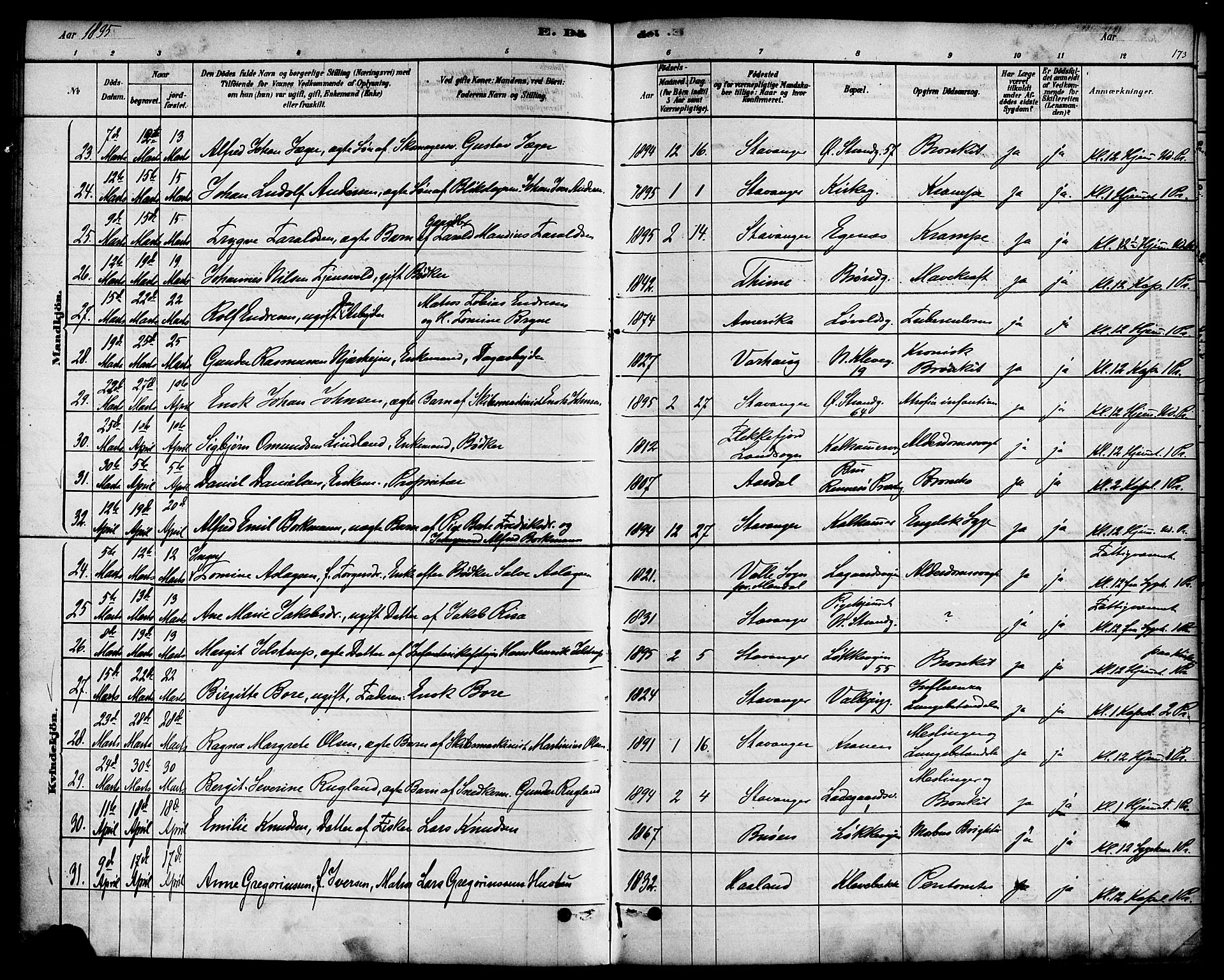 Domkirken sokneprestkontor, SAST/A-101812/001/30/30BA/L0027: Parish register (official) no. A 26, 1878-1896, p. 173