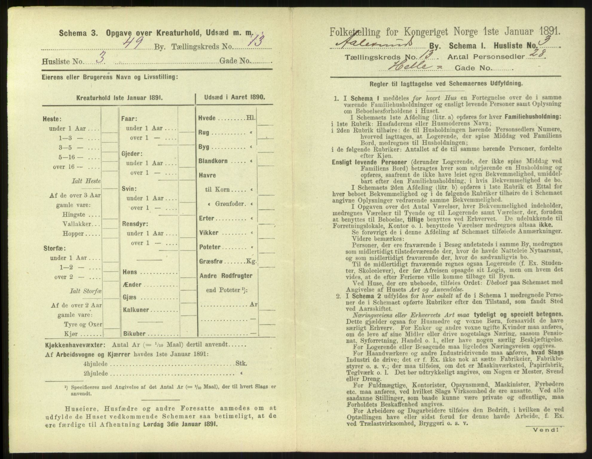 RA, 1891 census for 1501 Ålesund, 1891, p. 918