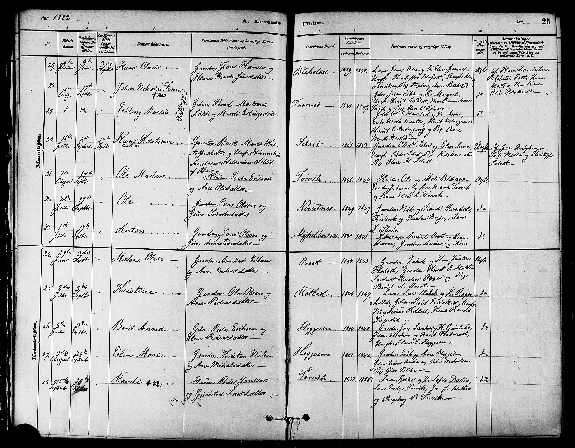 Ministerialprotokoller, klokkerbøker og fødselsregistre - Møre og Romsdal, AV/SAT-A-1454/584/L0967: Parish register (official) no. 584A07, 1879-1894, p. 25