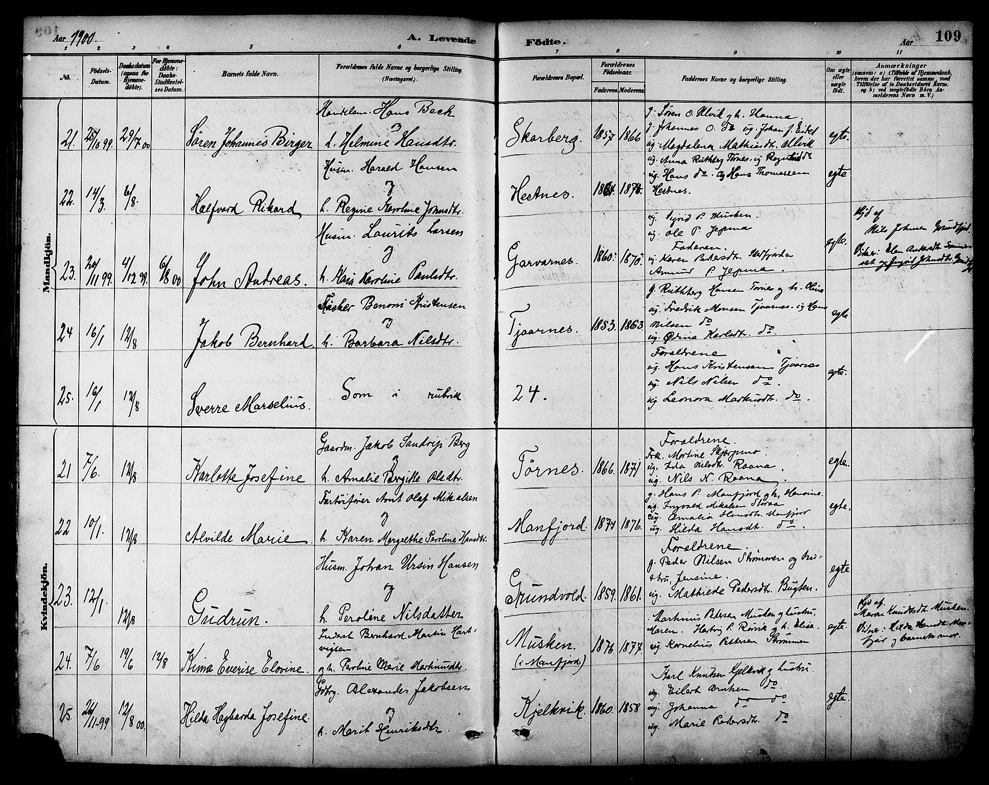 Ministerialprotokoller, klokkerbøker og fødselsregistre - Nordland, AV/SAT-A-1459/861/L0869: Parish register (official) no. 861A04, 1889-1903, p. 109