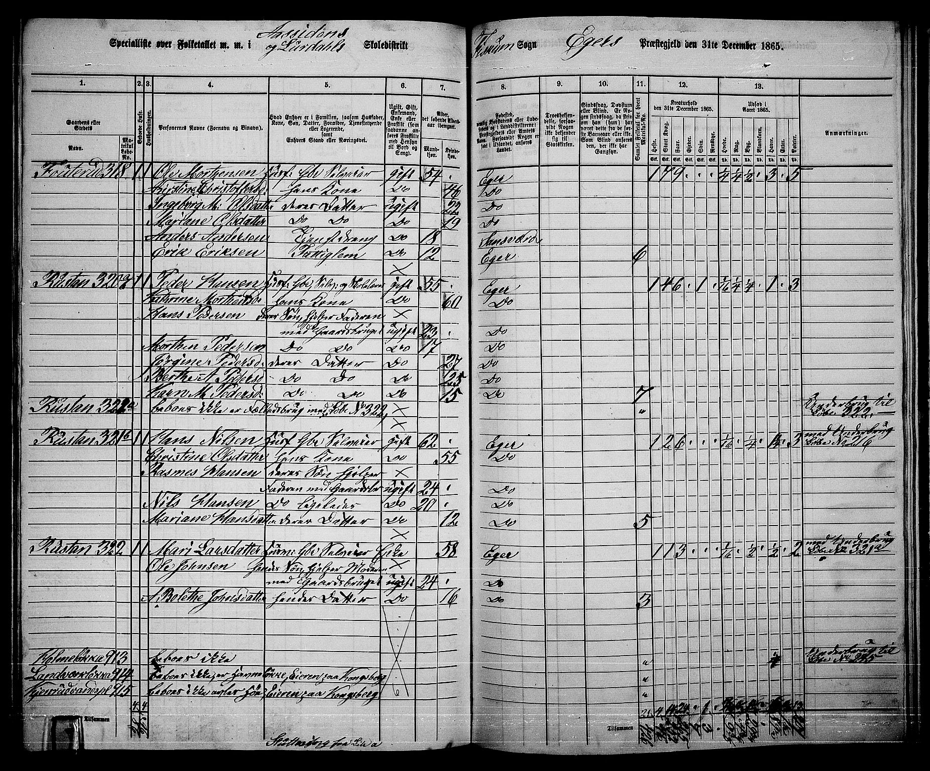 RA, 1865 census for Eiker, 1865, p. 513