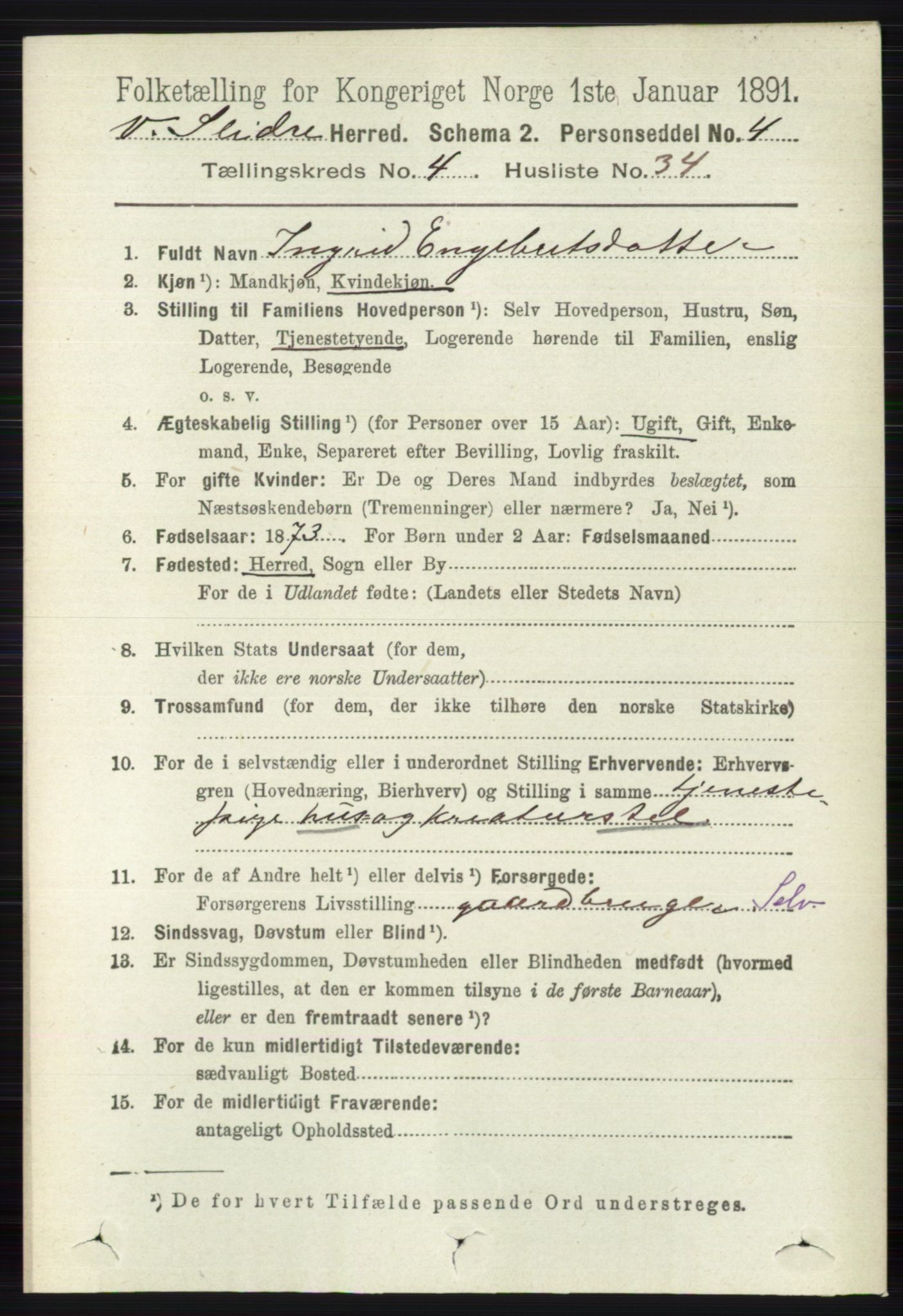 RA, 1891 census for 0543 Vestre Slidre, 1891, p. 1455