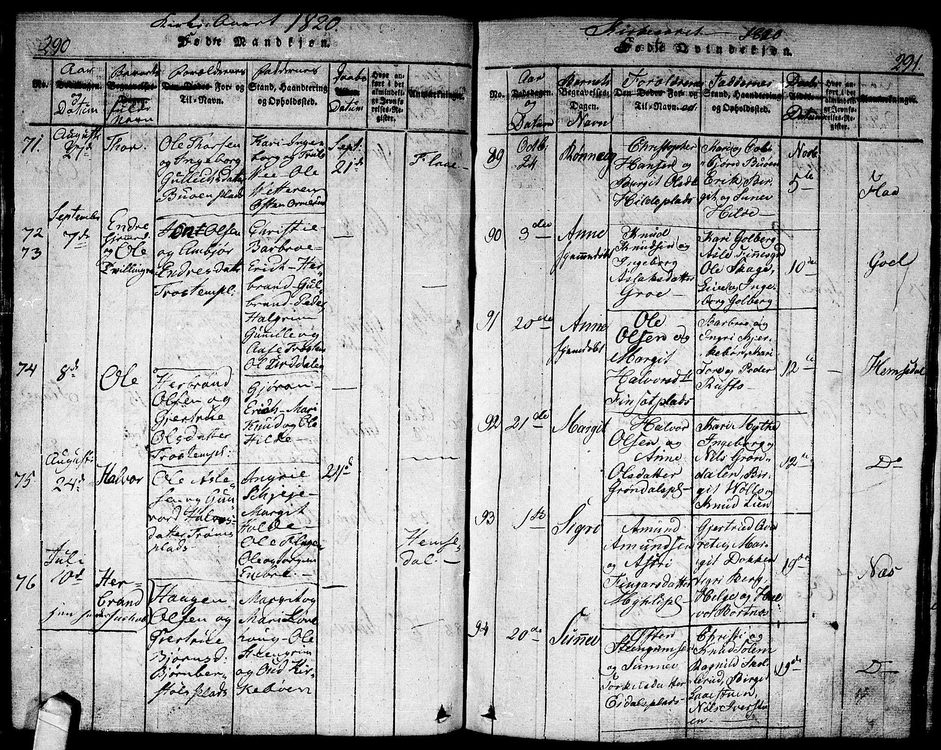 Nes kirkebøker, AV/SAKO-A-236/F/Fa/L0007: Parish register (official) no. 7, 1815-1823, p. 290-291