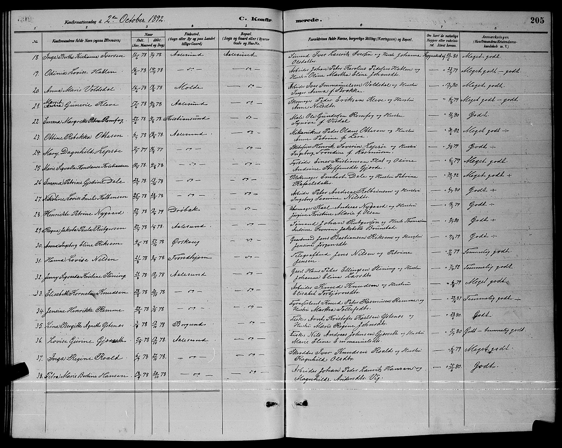 Ministerialprotokoller, klokkerbøker og fødselsregistre - Møre og Romsdal, AV/SAT-A-1454/529/L0467: Parish register (copy) no. 529C04, 1889-1897, p. 205