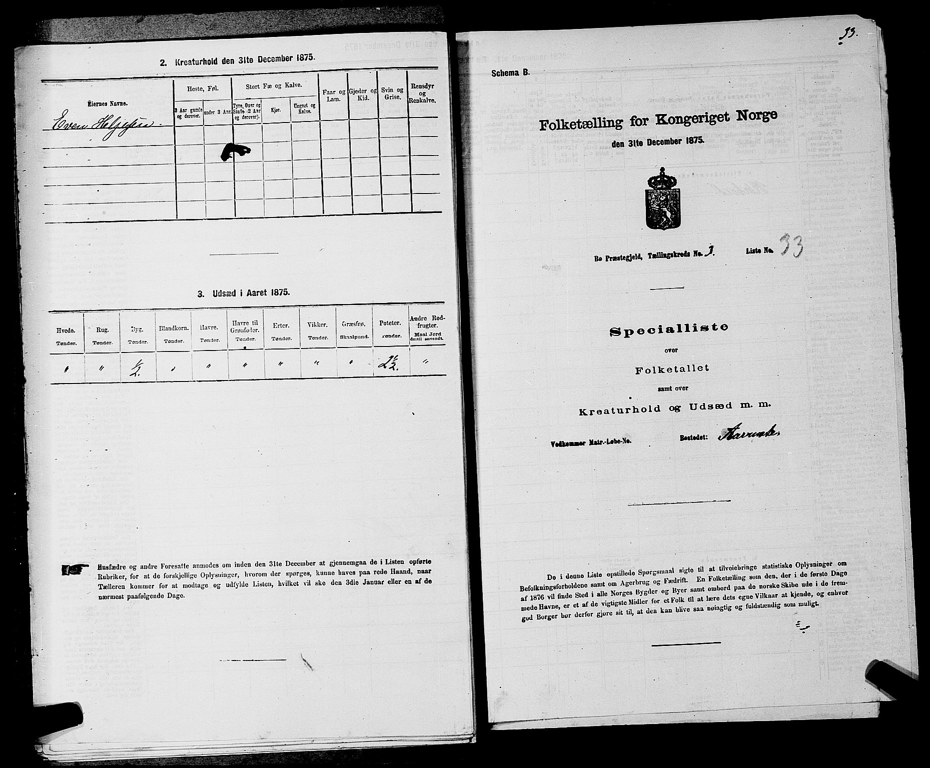 SAKO, 1875 census for 0821P Bø, 1875, p. 423