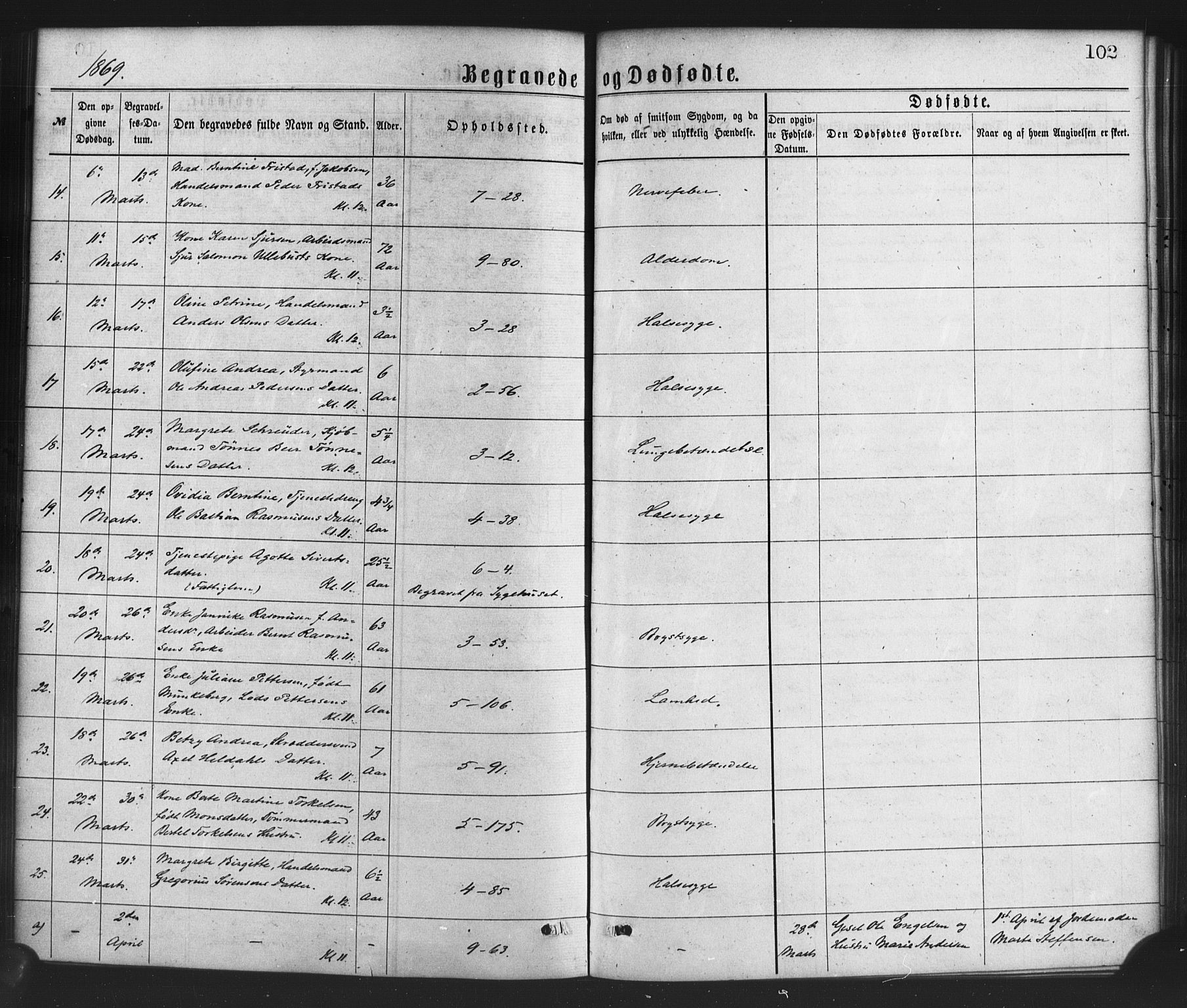 Nykirken Sokneprestembete, AV/SAB-A-77101/H/Haa/L0043: Parish register (official) no. E 3, 1869-1882, p. 102