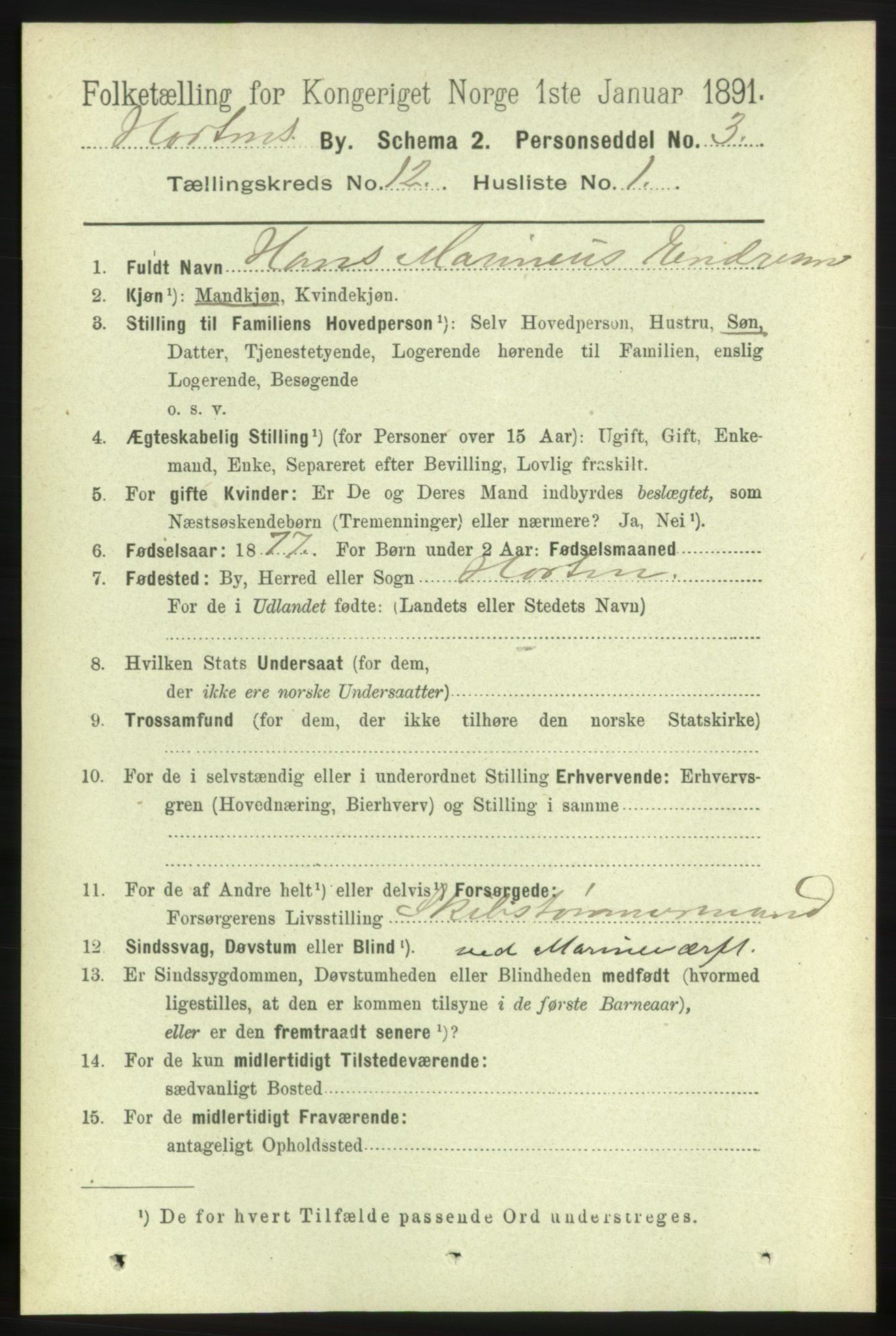 RA, 1891 census for 0703 Horten, 1891, p. 7395