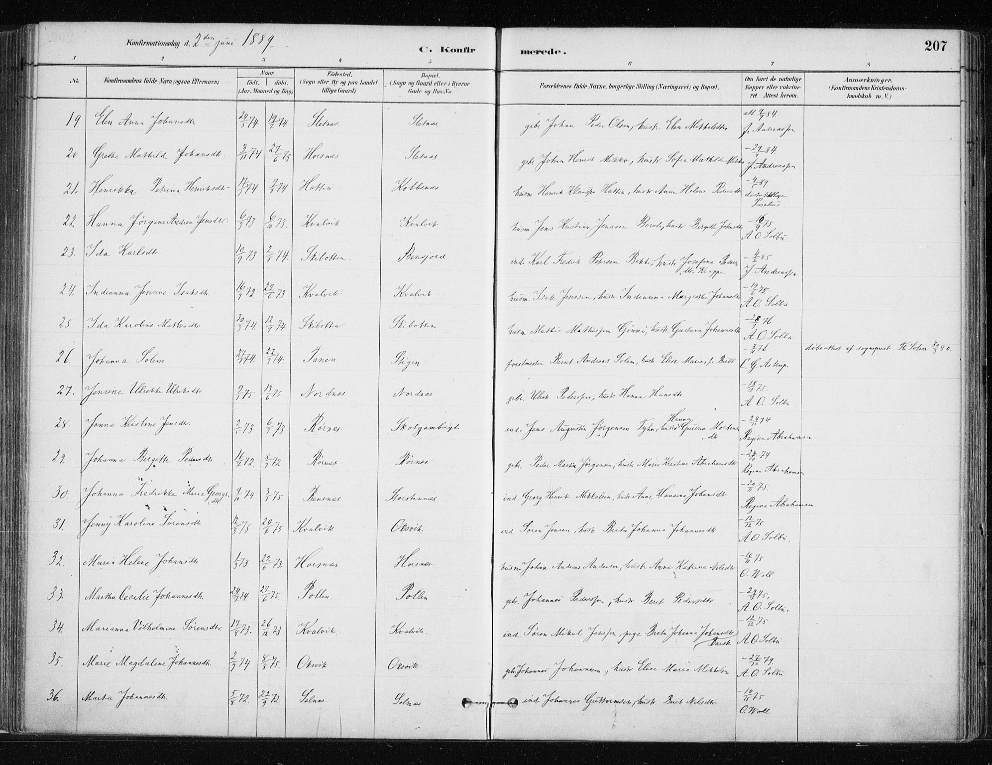 Lyngen sokneprestembete, AV/SATØ-S-1289/H/He/Hea/L0007kirke: Parish register (official) no. 7, 1879-1890, p. 207