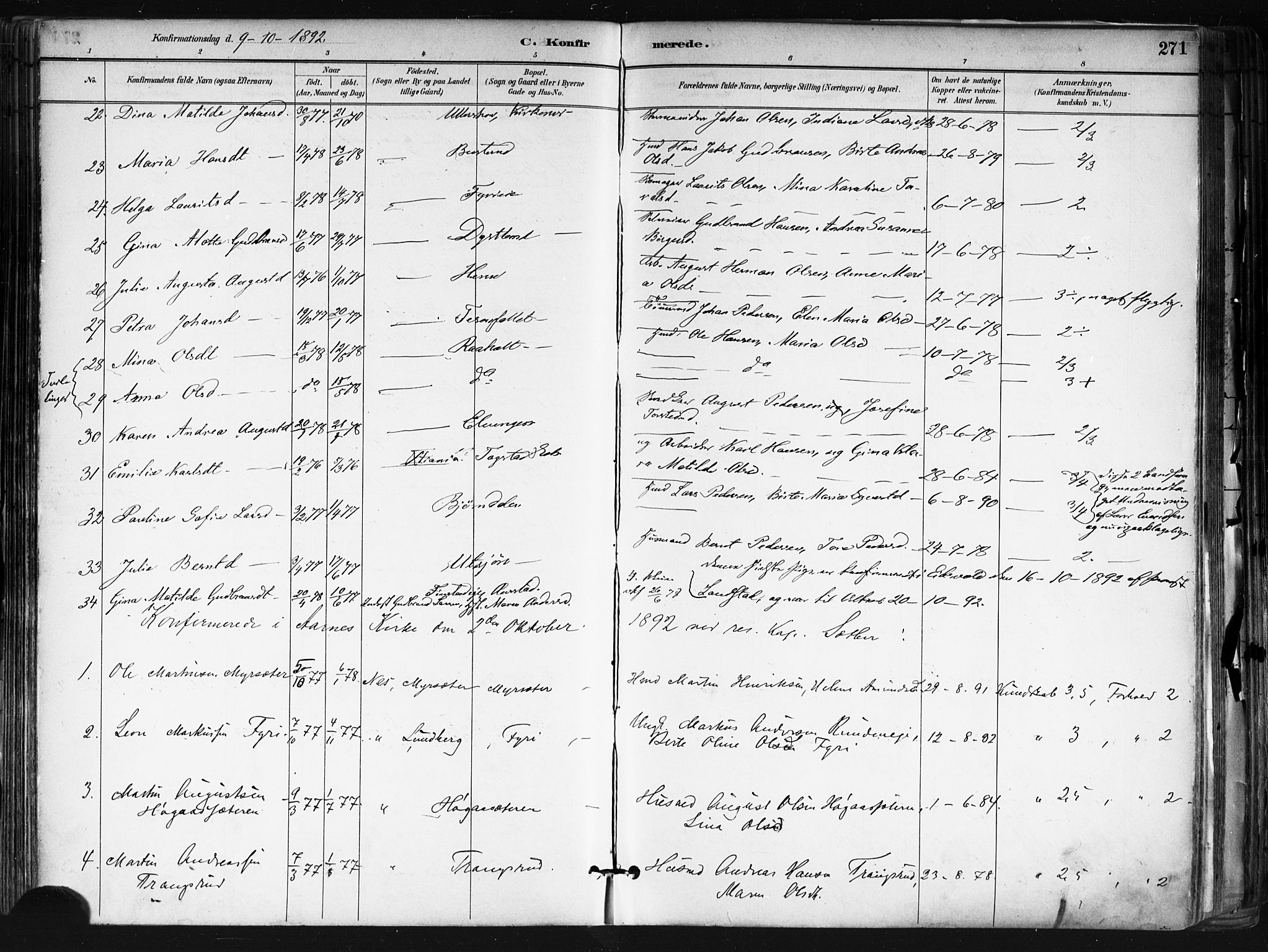 Nes prestekontor Kirkebøker, AV/SAO-A-10410/F/Fa/L0010: Parish register (official) no. I 10, 1883-1898, p. 271